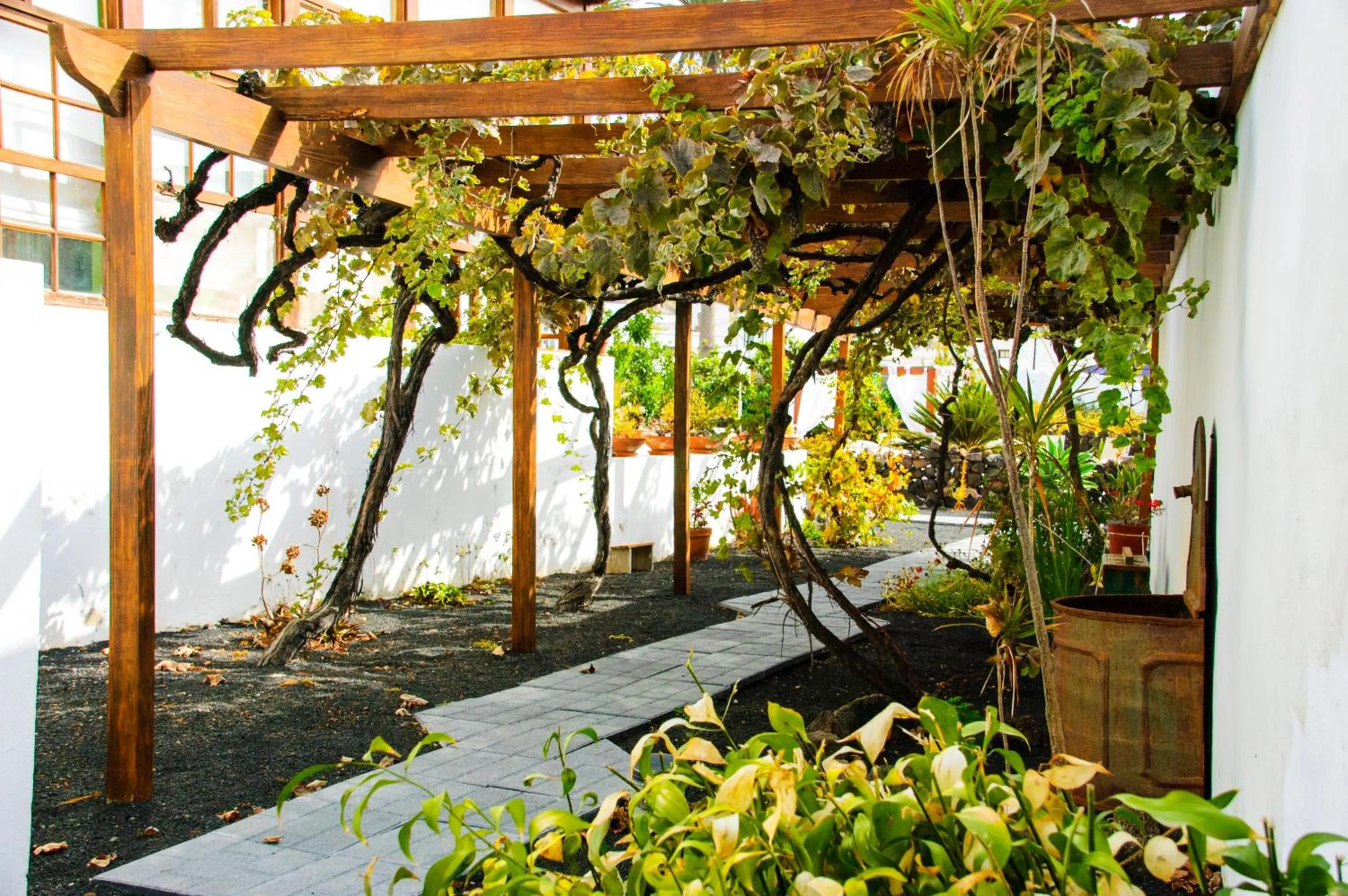 Garden in Casa Rural Villa Lola Y Juan