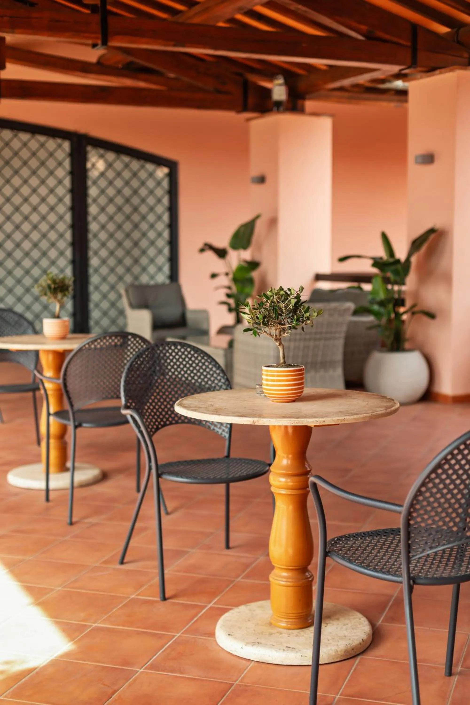 Patio in Hotel Villa Domizia