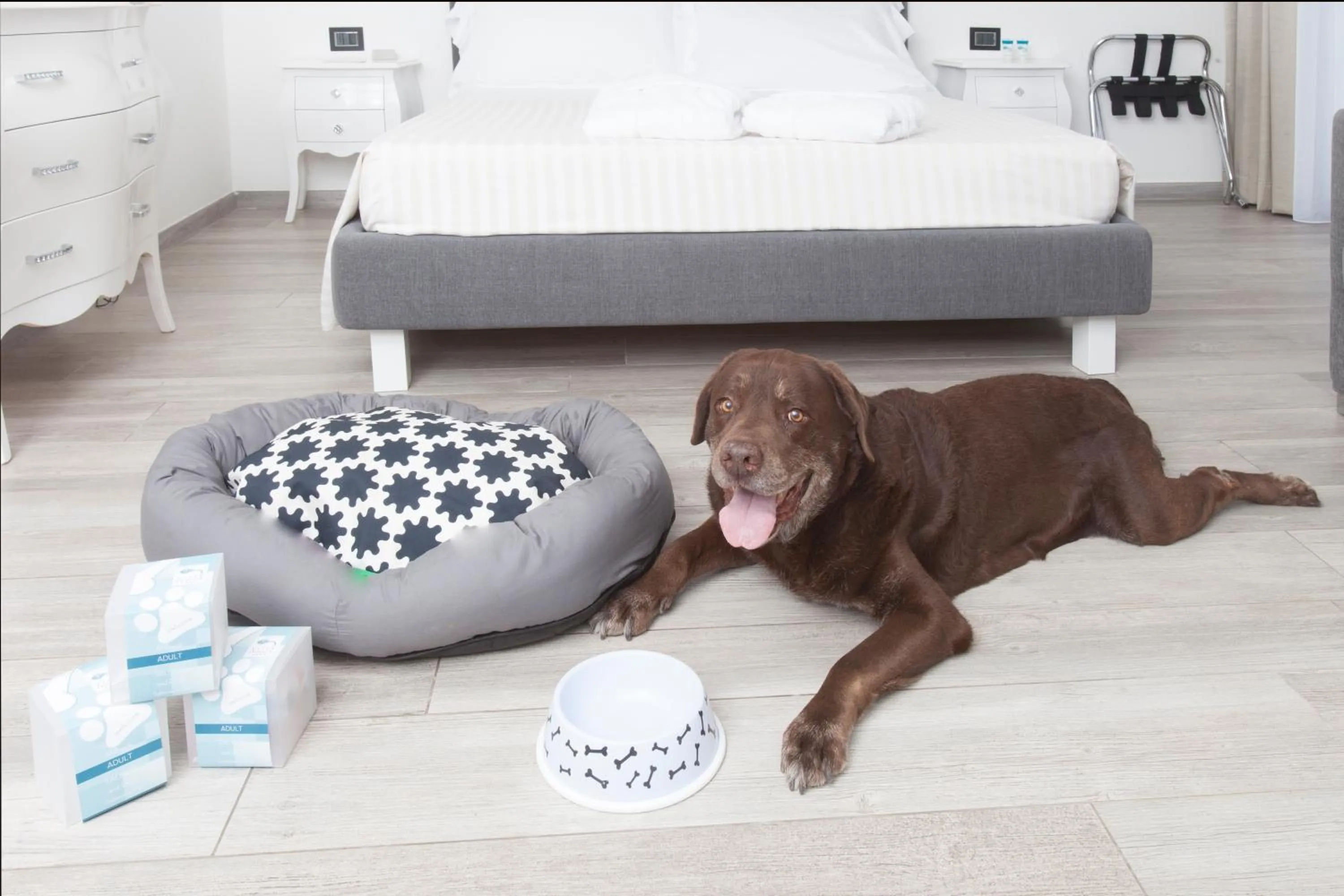 Pets in Hotel Villa Domizia