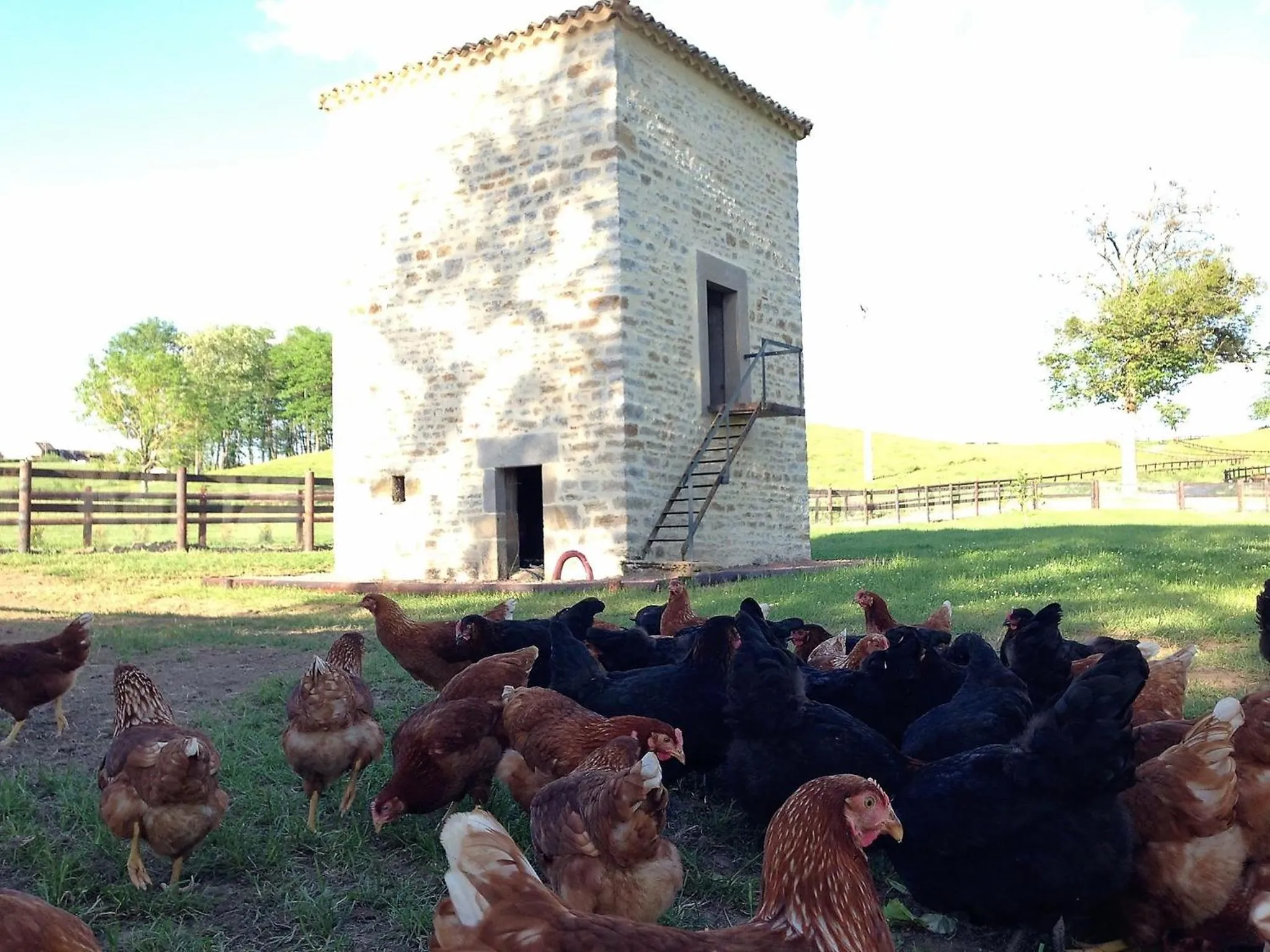 Animals in Domaine de Rymska & Spa - Relais & Châteaux