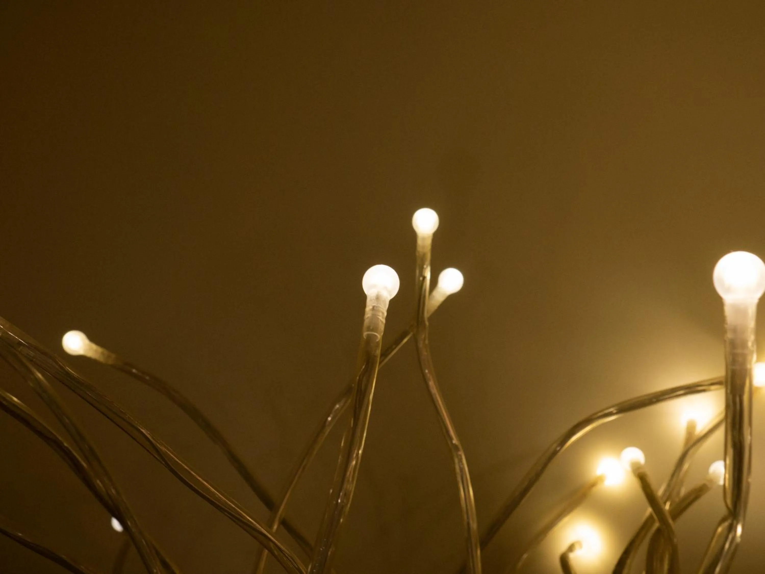 Decorative detail in Hotel Montecarlo