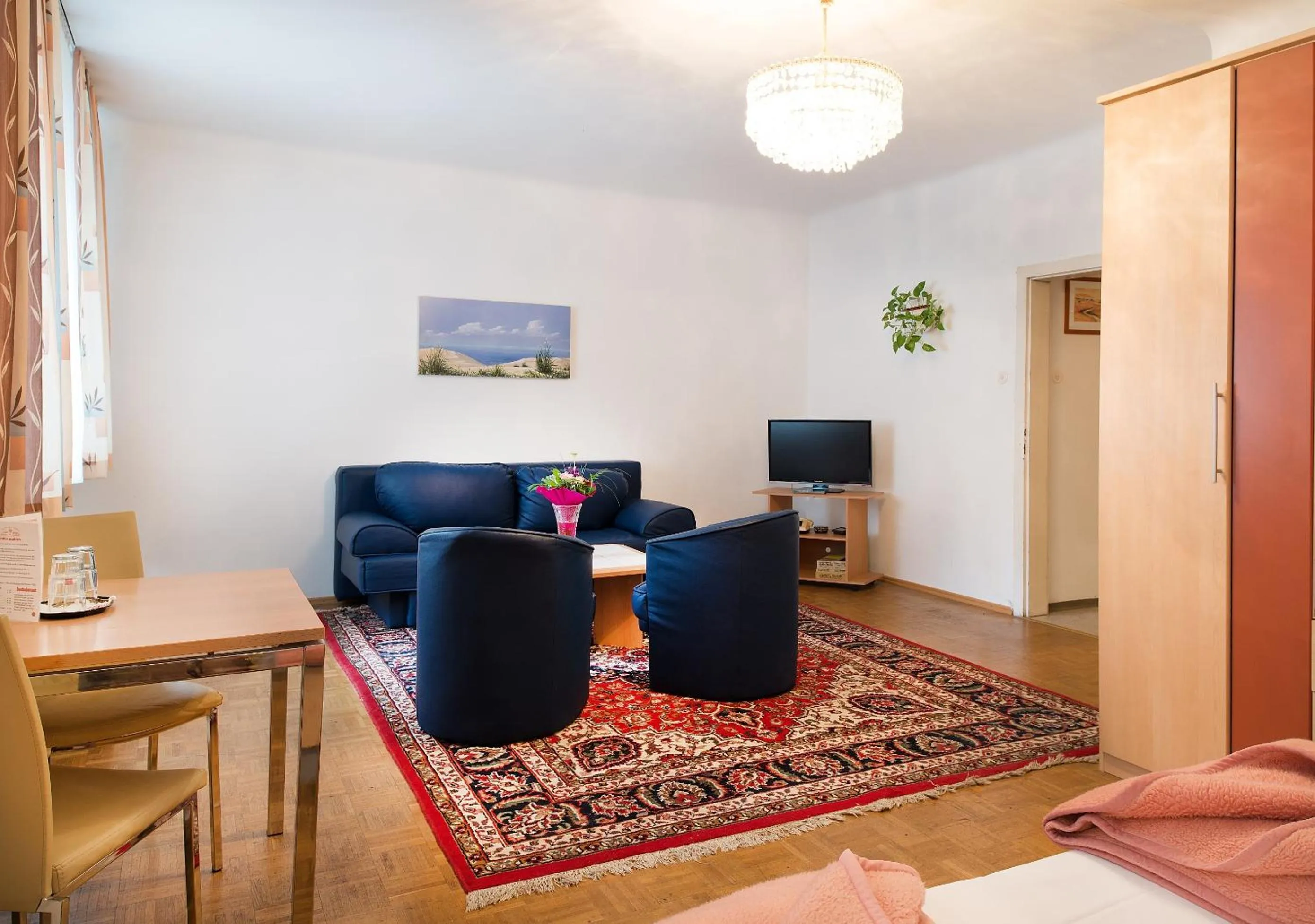 TV and multimedia in Pension Dr. Geissler