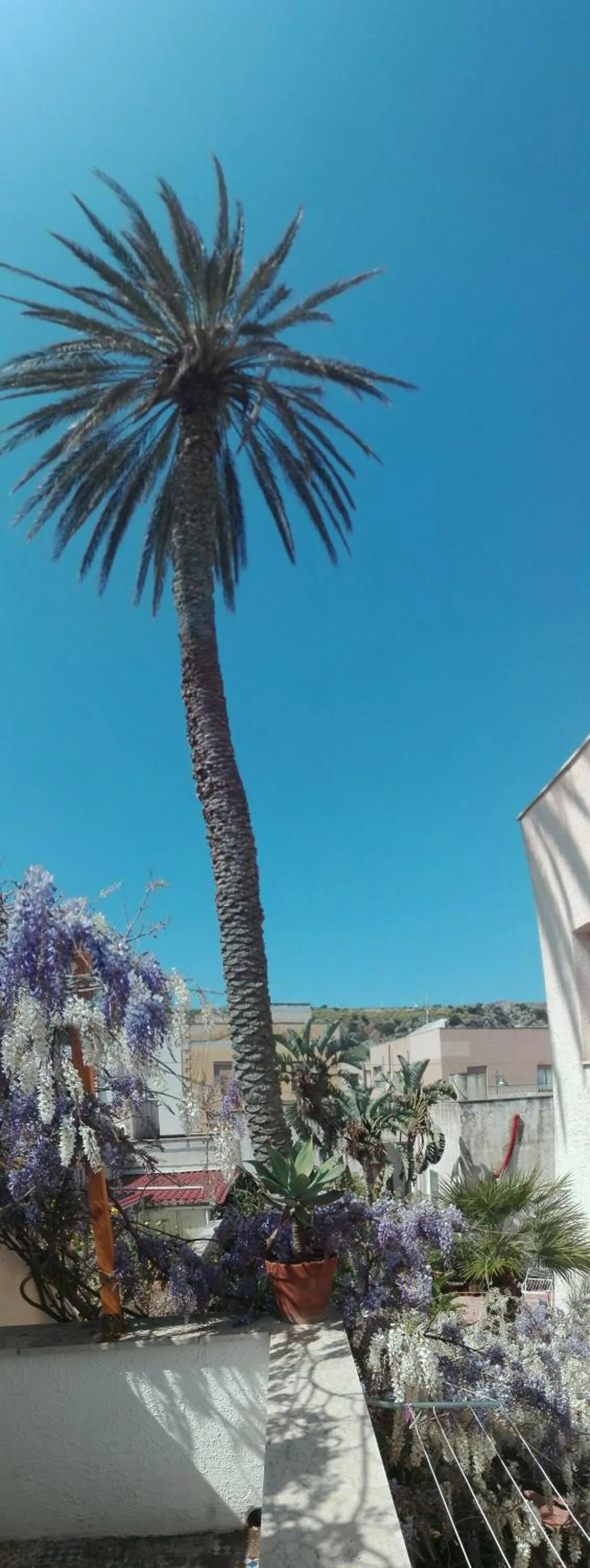 Natural landscape in Cocoi