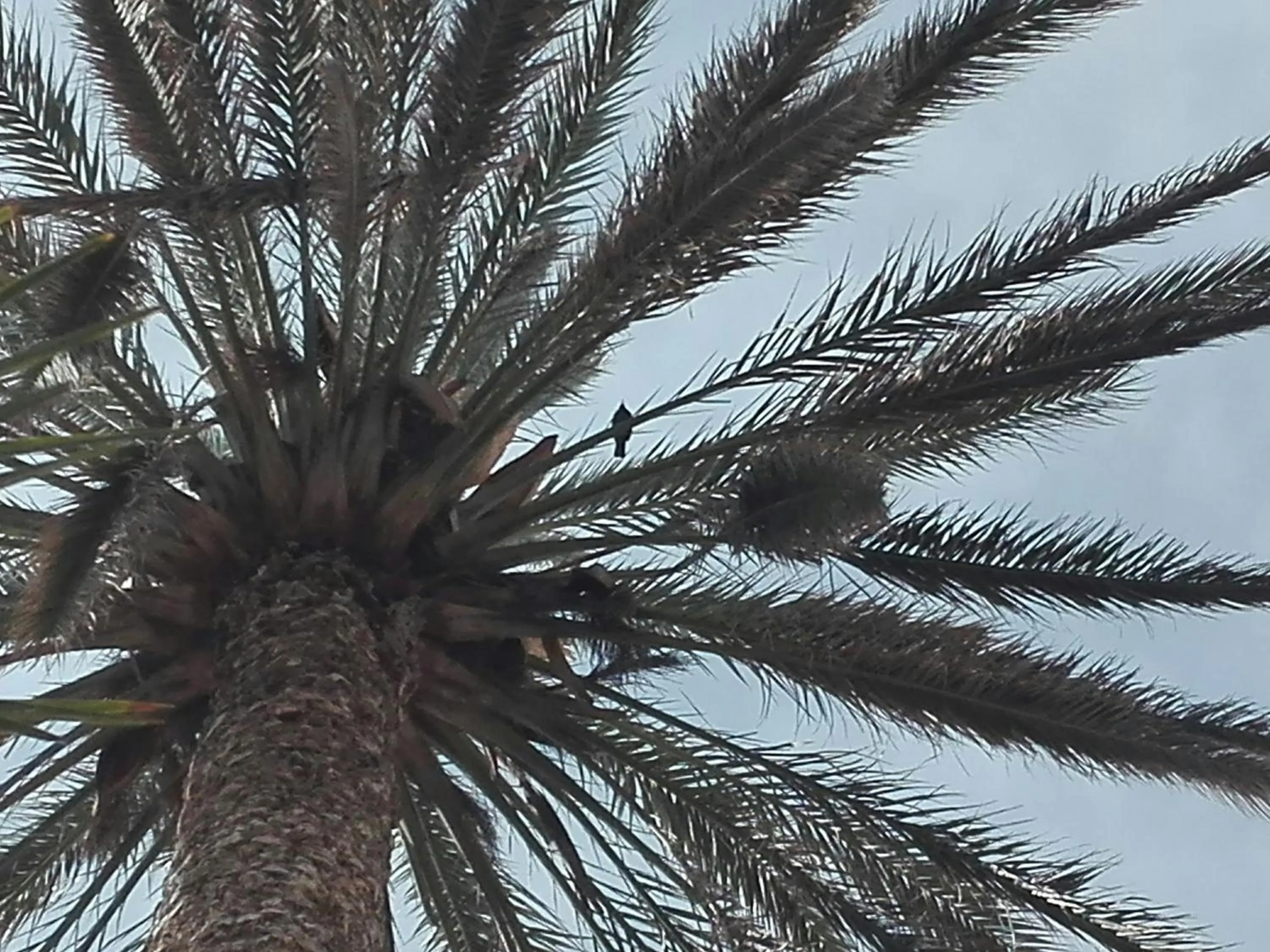 Natural landscape in Cocoi