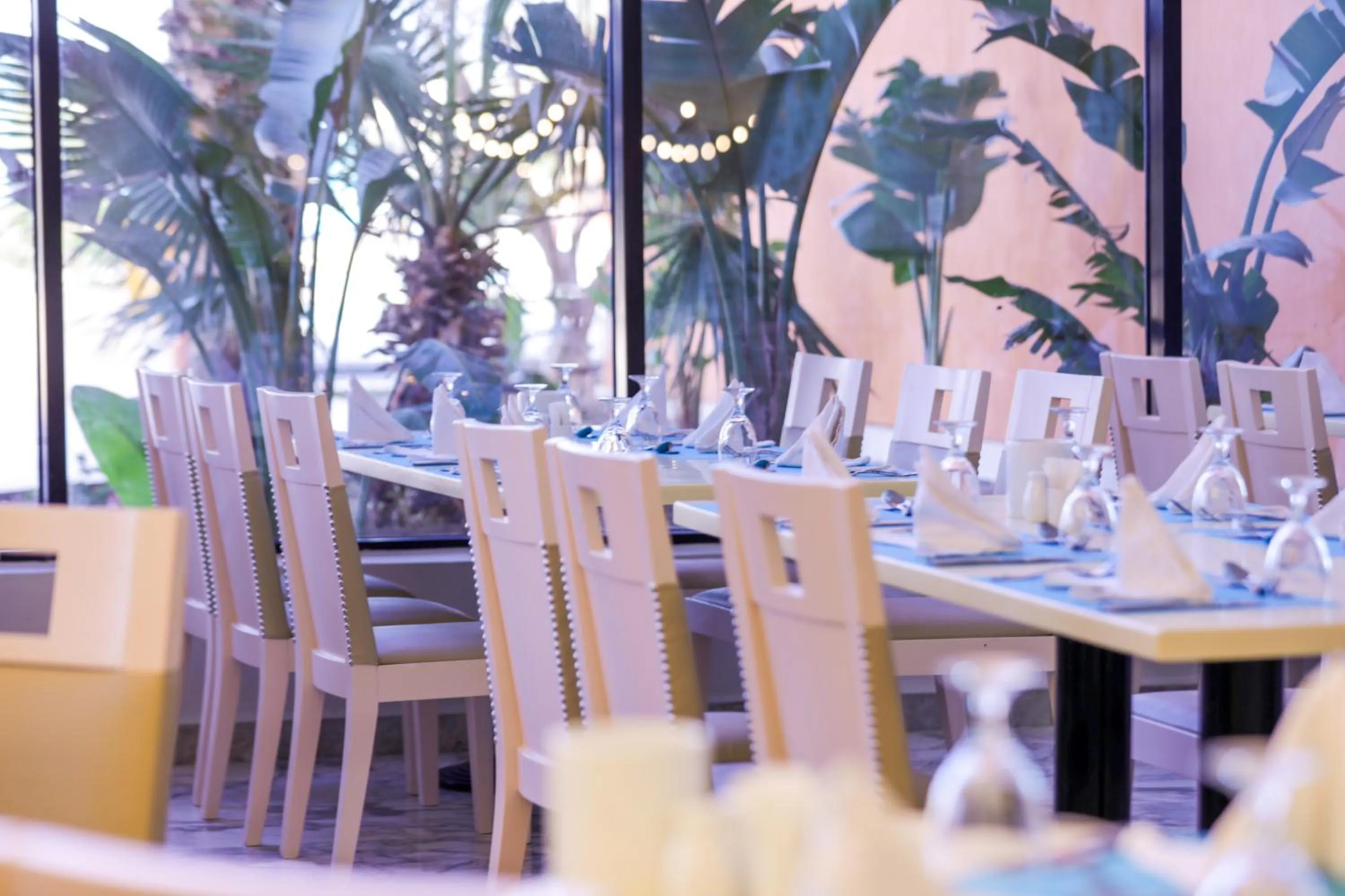 Restaurant/places to eat in Calimera Blend Paradise