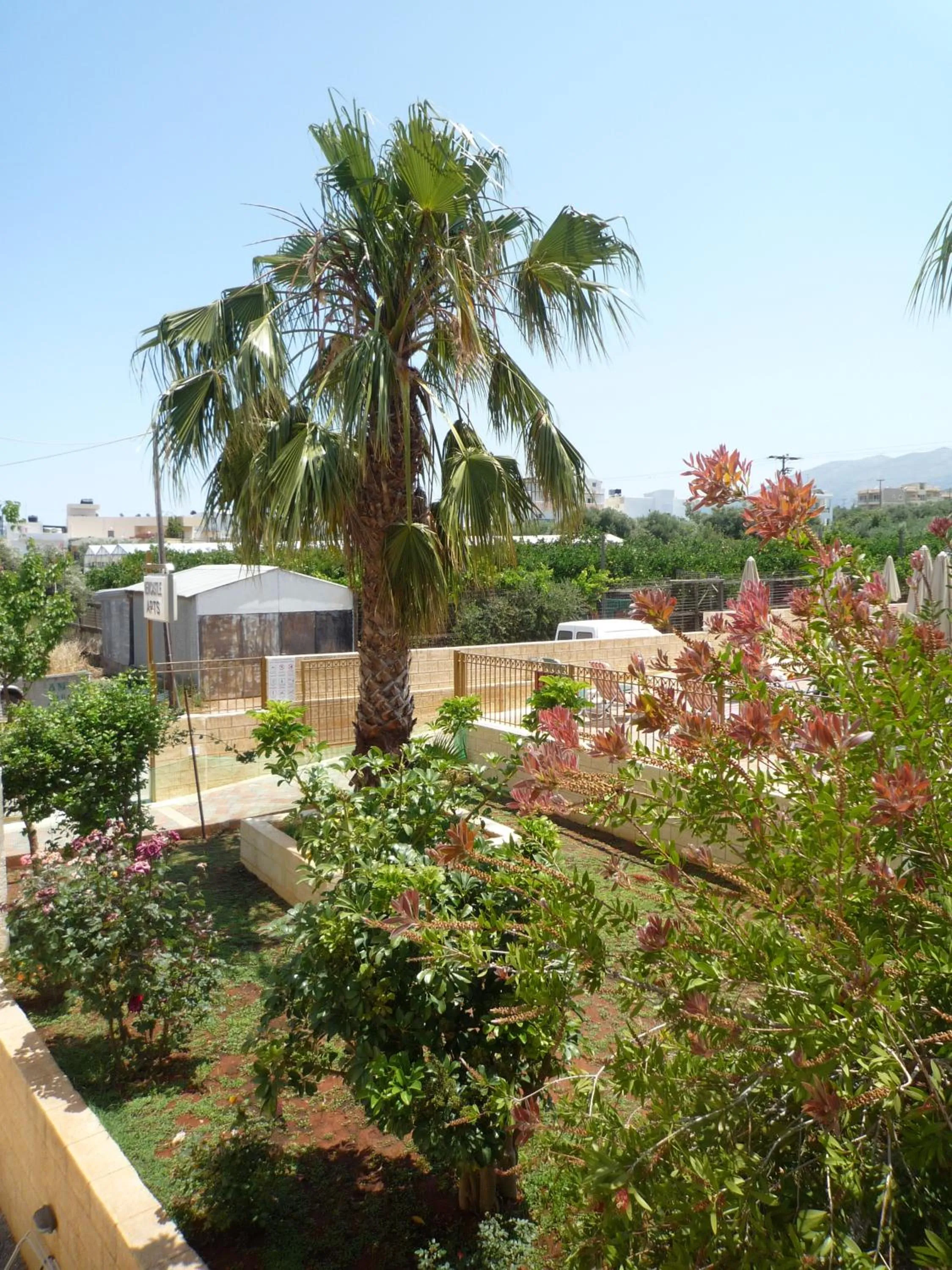 Garden in Newcastle Studios