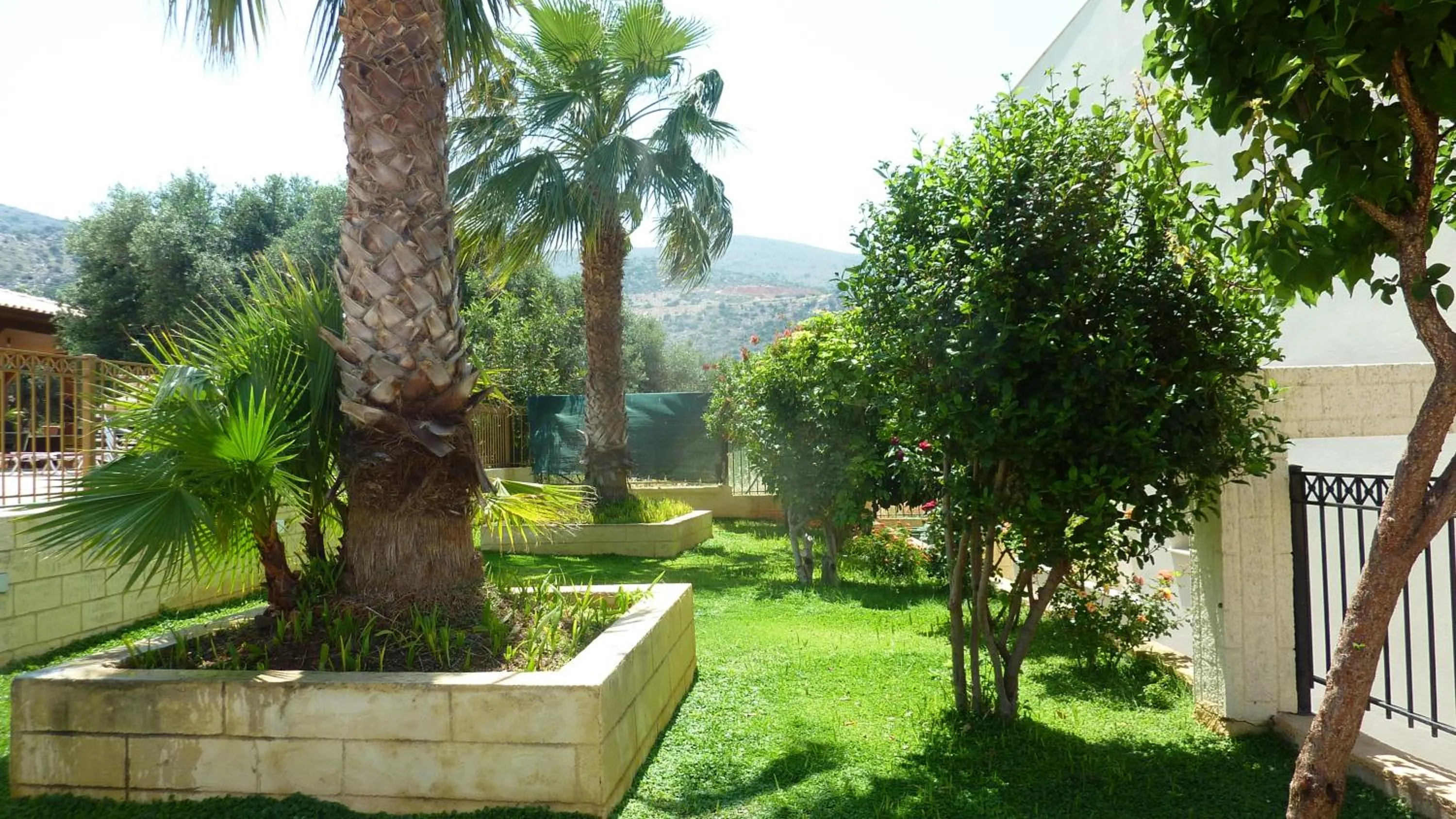 Garden in Newcastle Studios