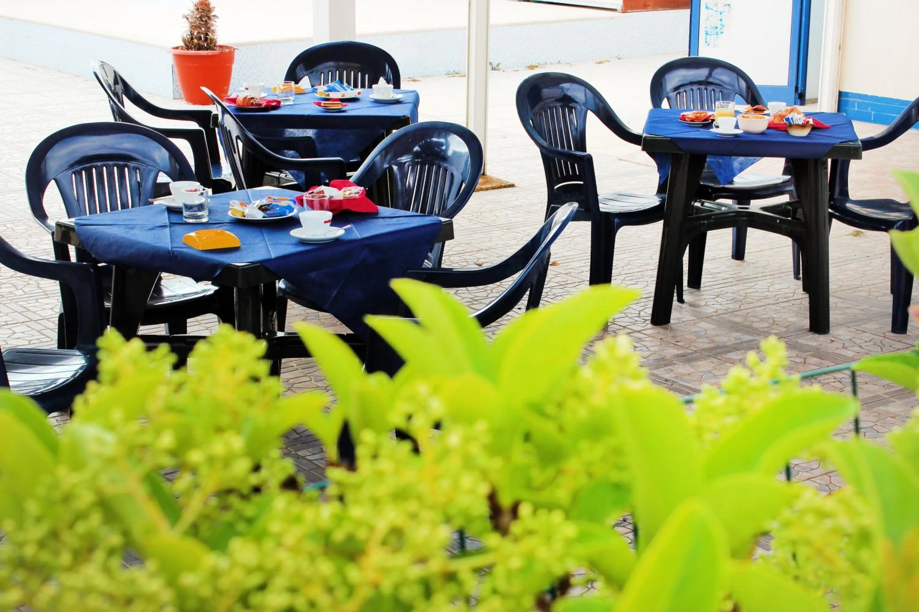 Breakfast in Residence Oasi Salento