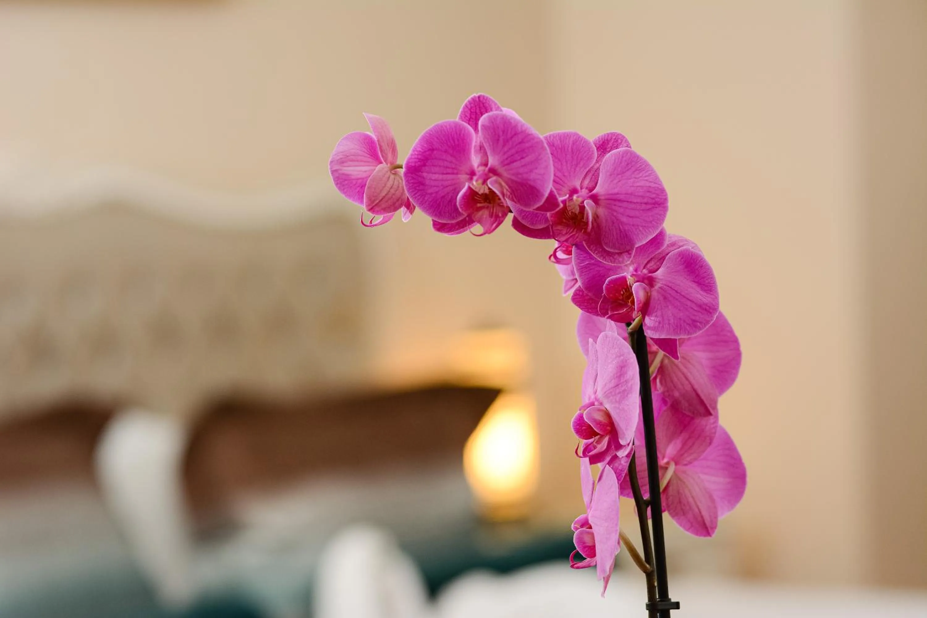 Bed in Recital Hotel