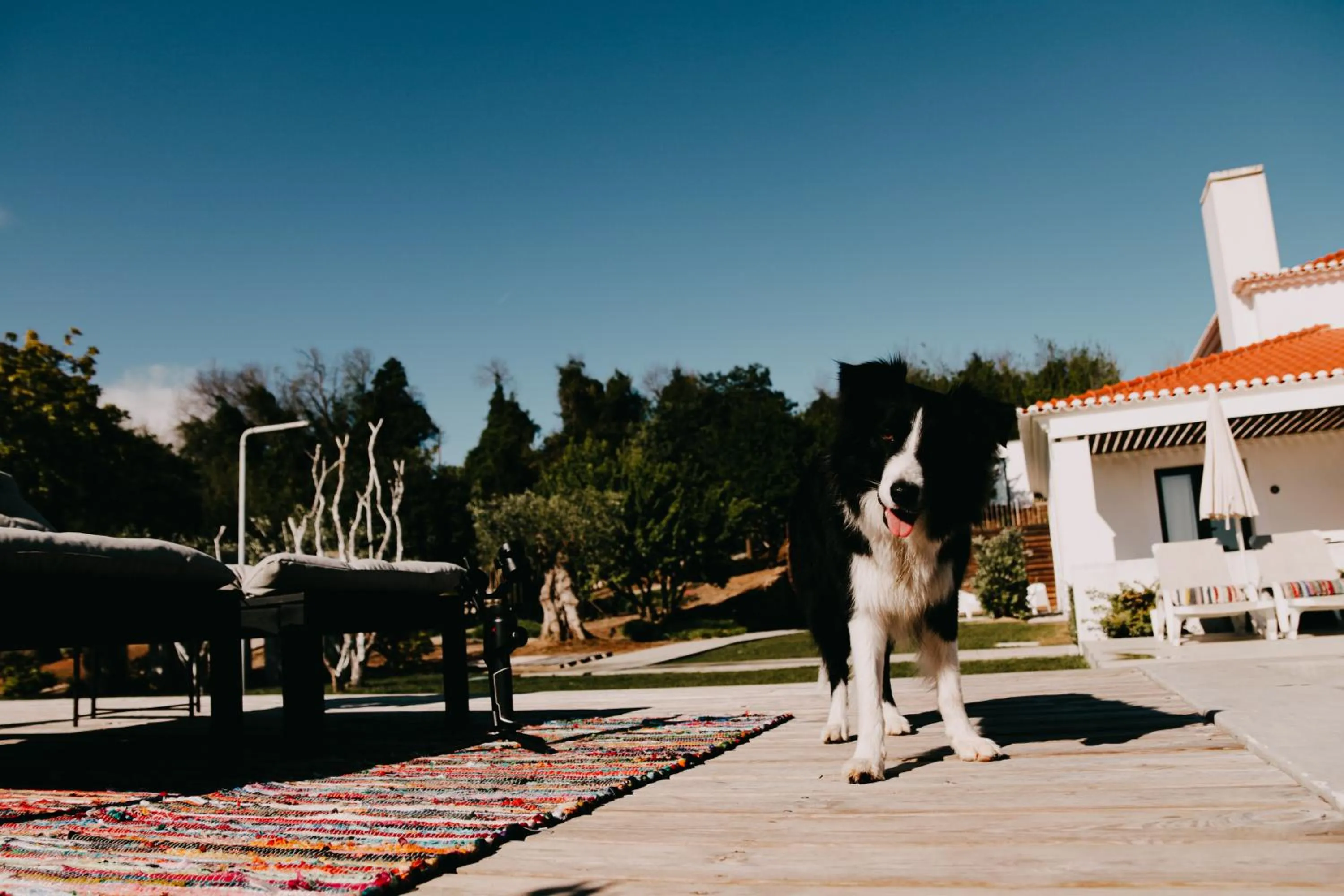 Swimming pool in CAMBEIROS - Guest House