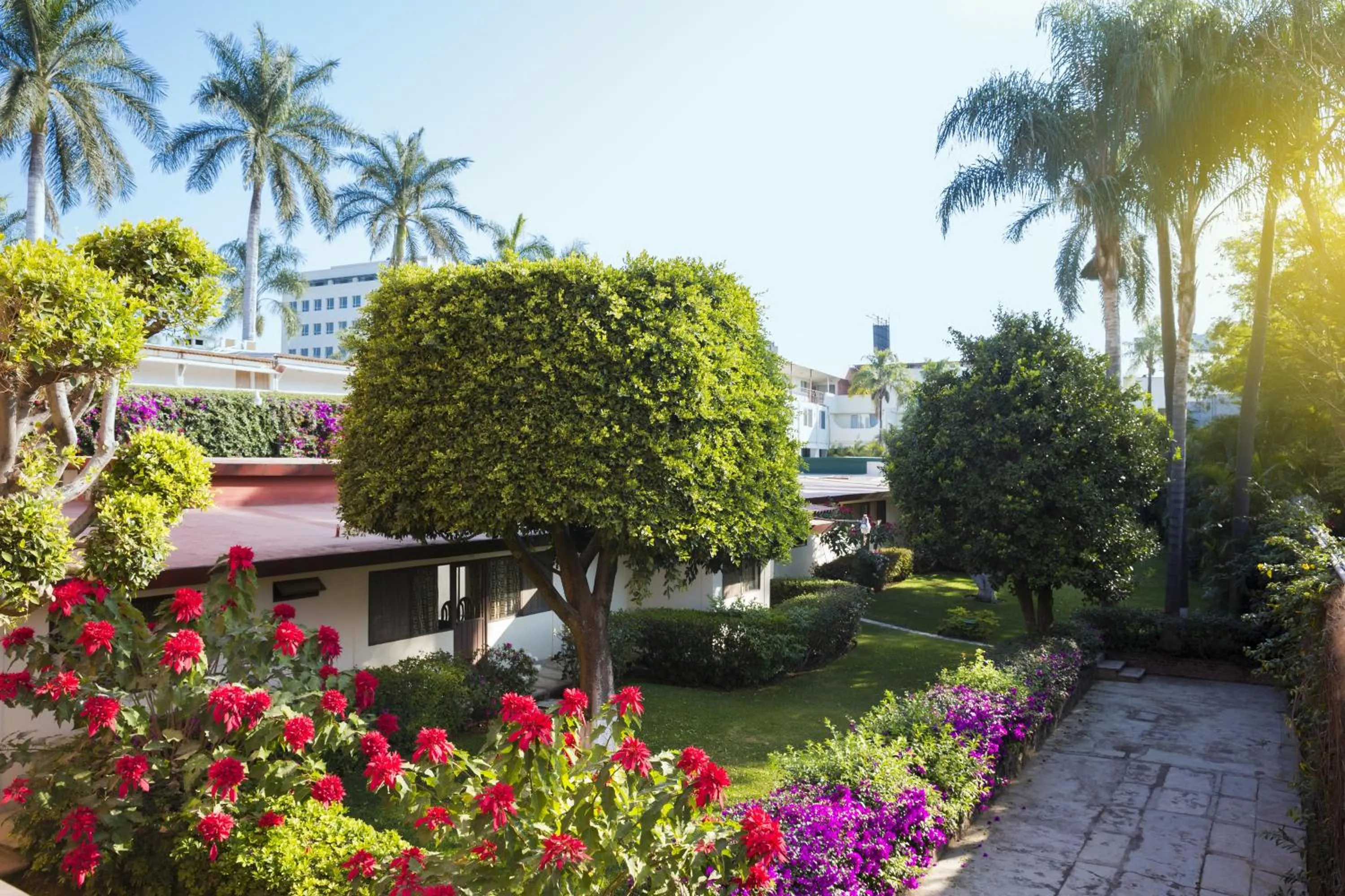 Property building in Gamma Cuernavaca Puerta Paraiso