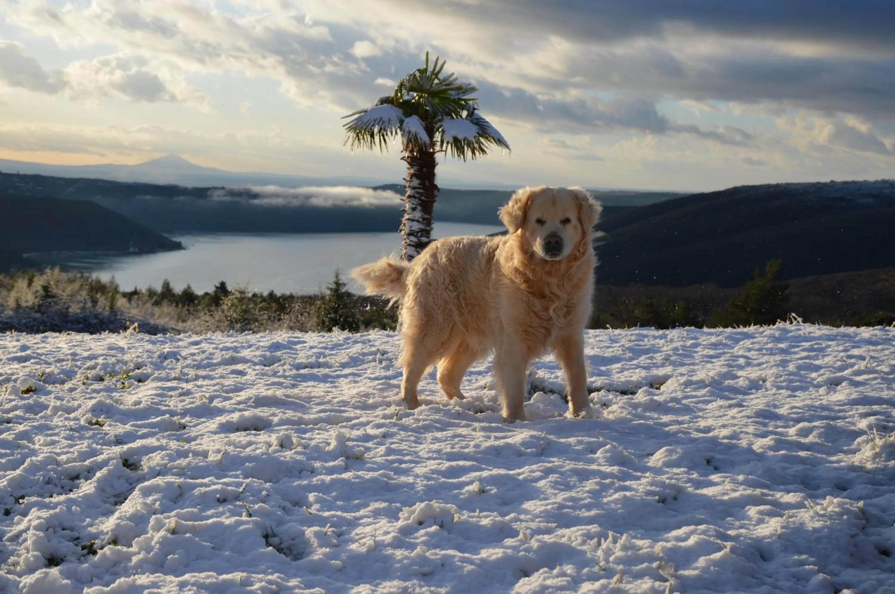 Other in VILLA STEFANIJA small Boutique hotel&restaurant