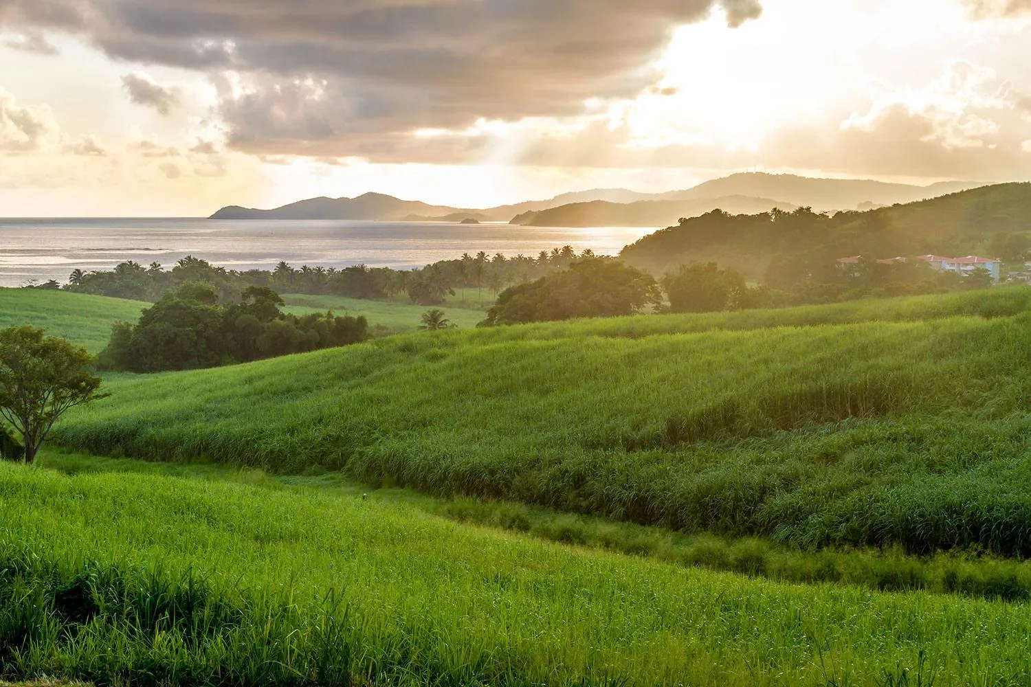Sunrise in Le Domaine Saint Aubin