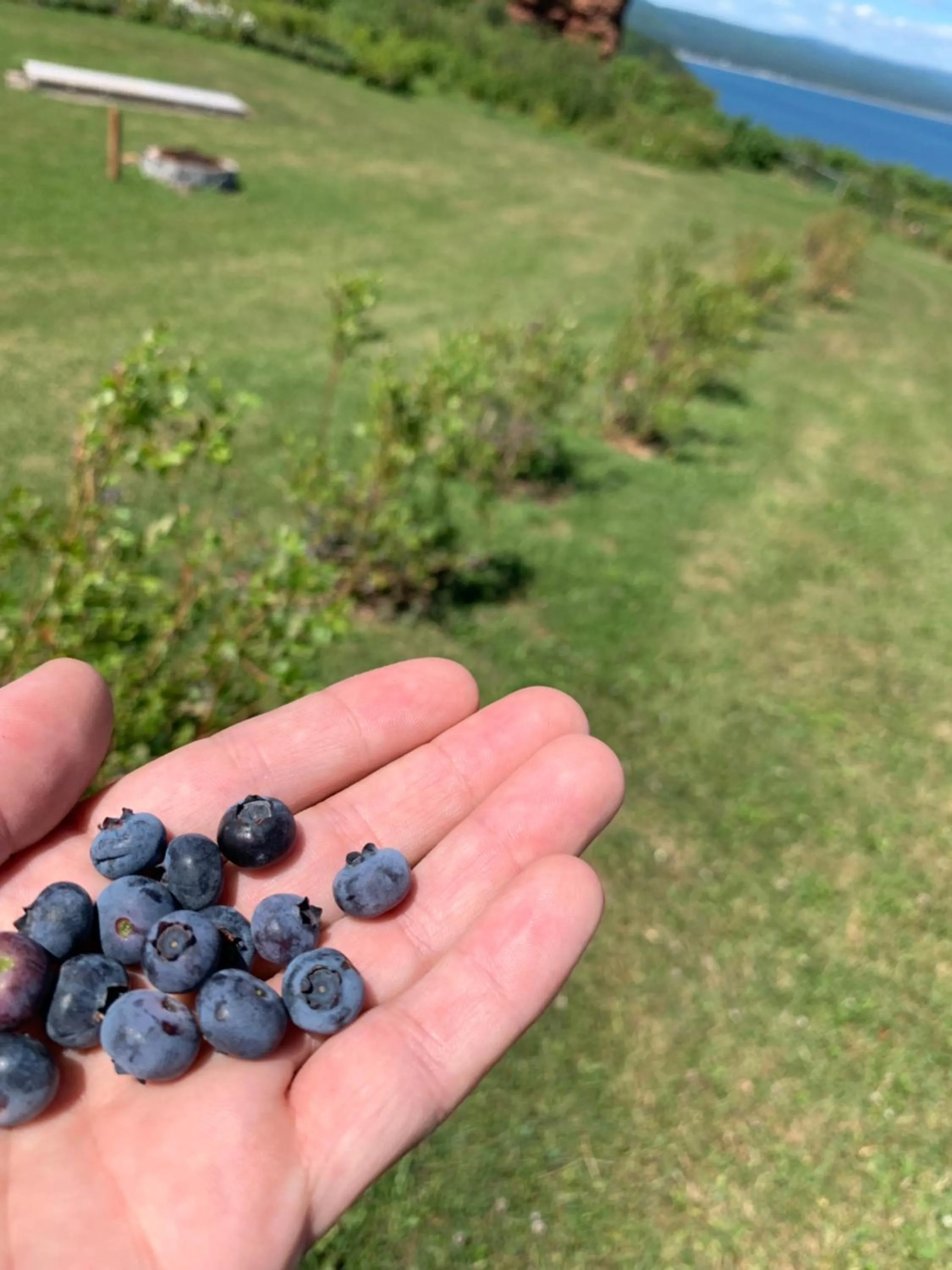 Natural landscape in Au Pic de l'Aurore Motel-Chalets