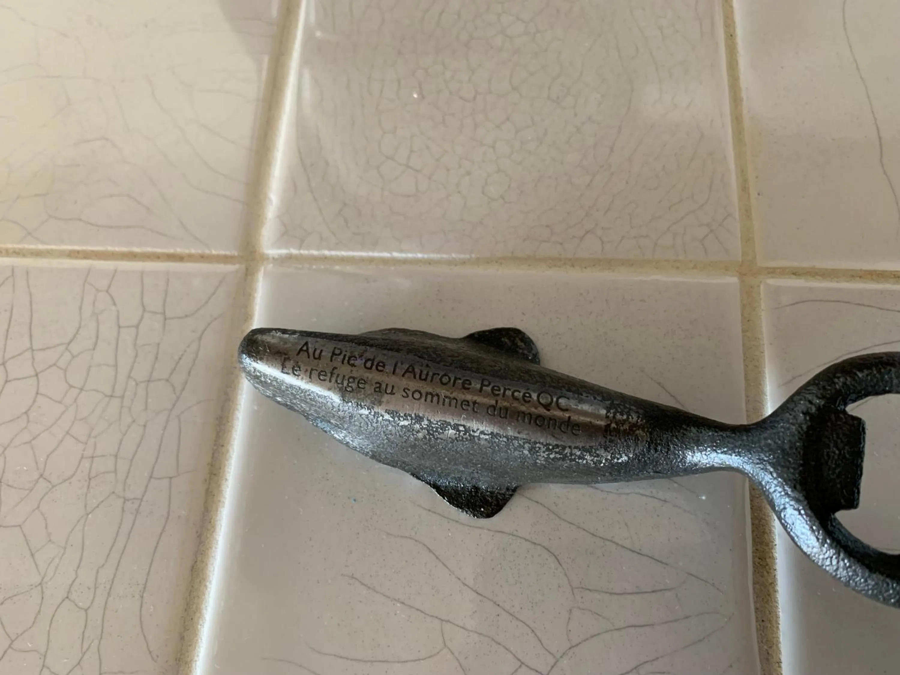 Lounge or bar in Au Pic de l'Aurore Motel-Chalets