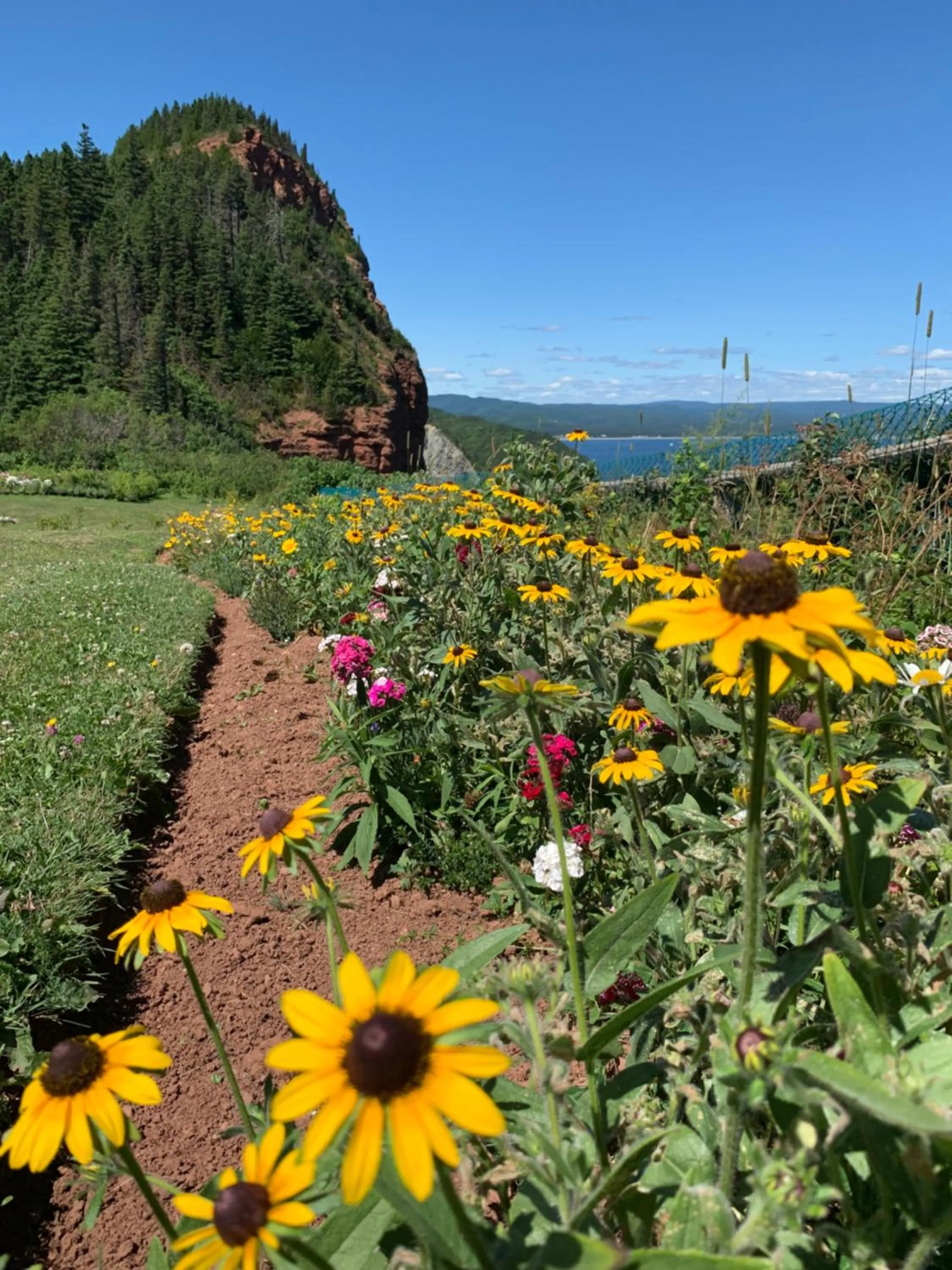 Natural landscape in Au Pic de l'Aurore Motel-Chalets