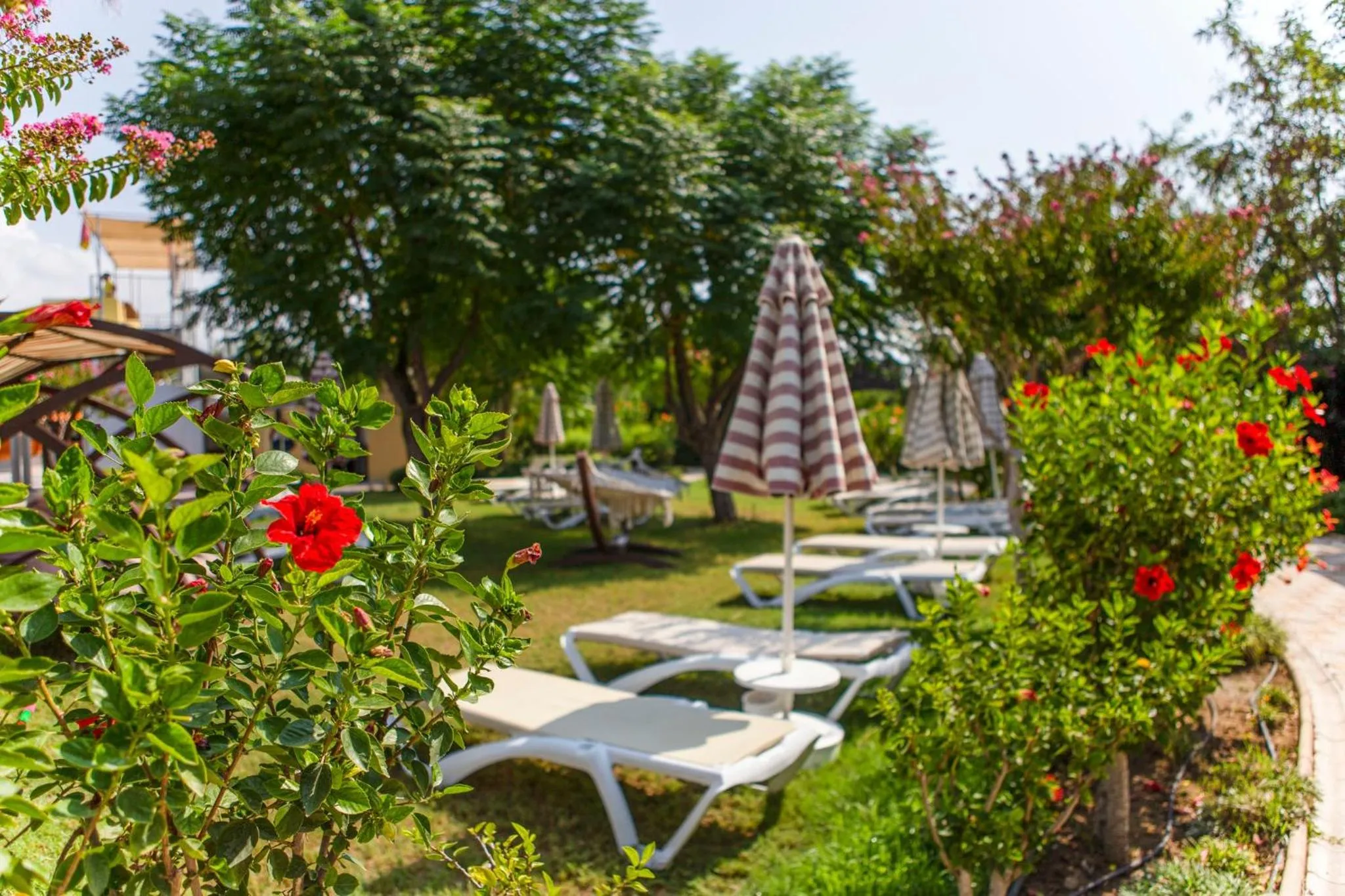 Garden in Side Star Resort Hotel - Ultra All Inclusive
