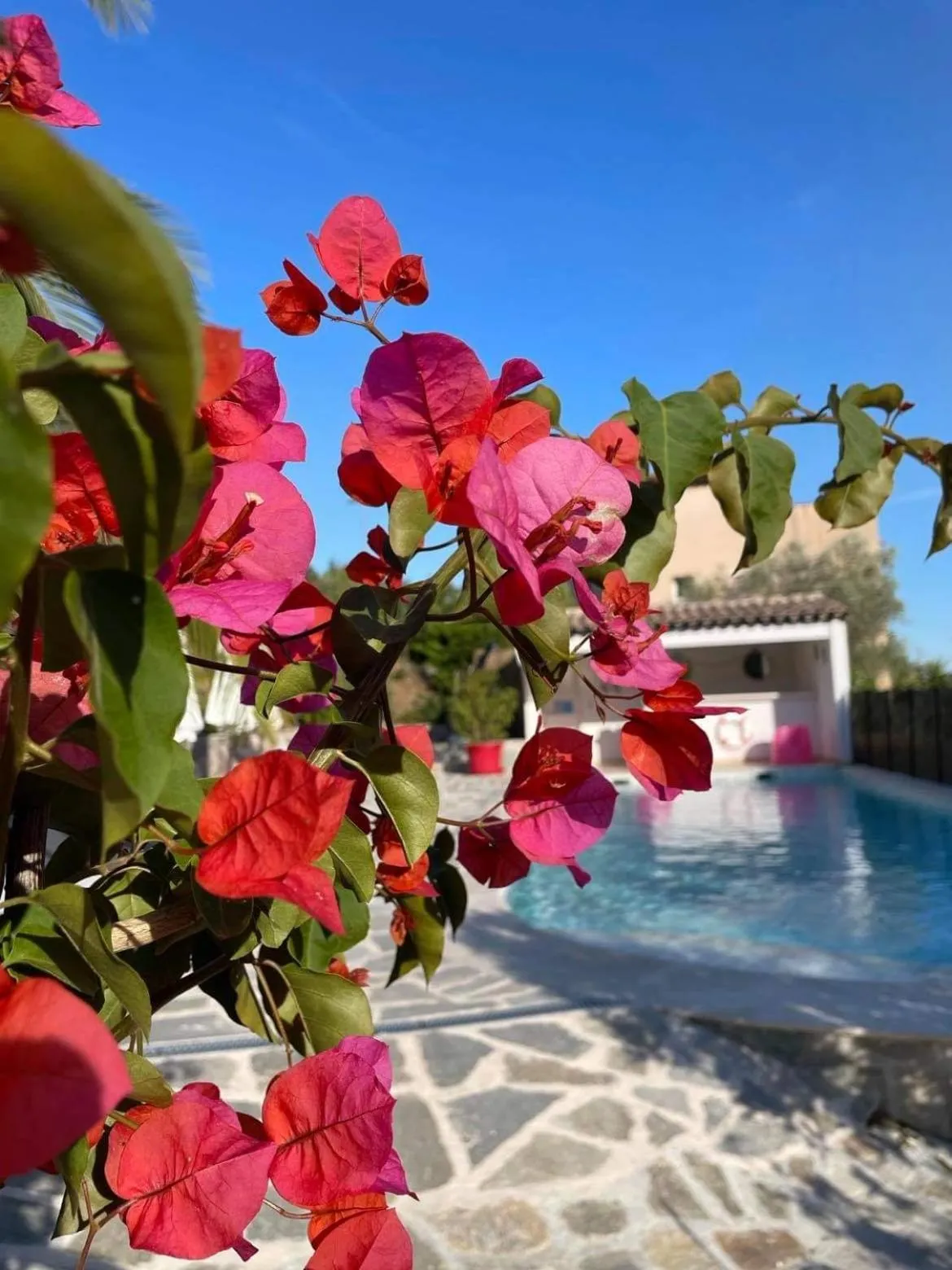 Swimming pool in Maxima Sunset