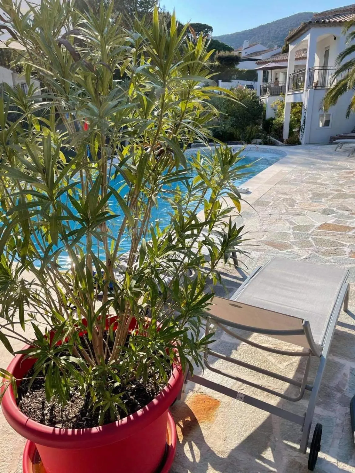 Swimming pool in Maxima Sunset