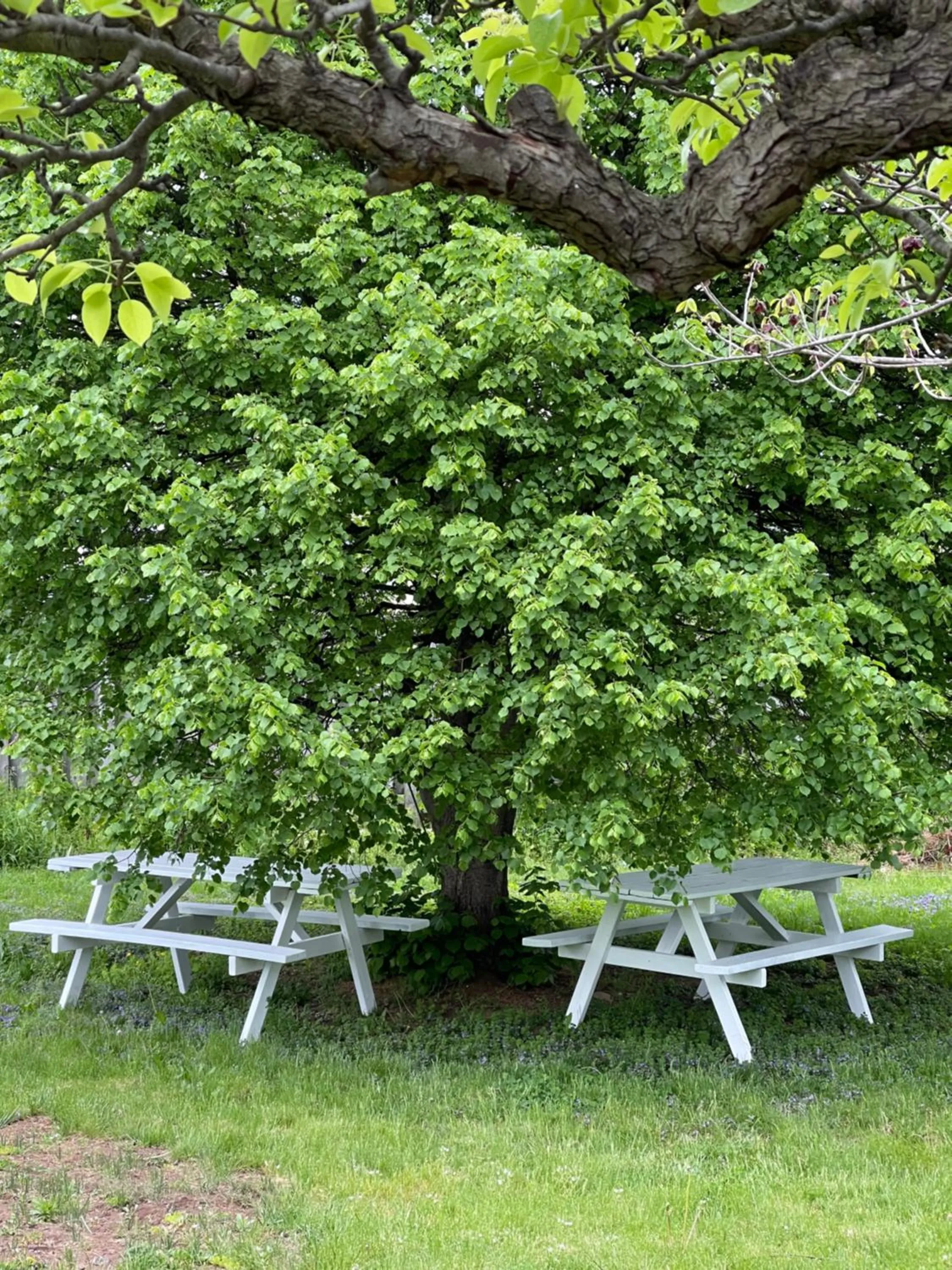 Anna's Bed & Breakfast