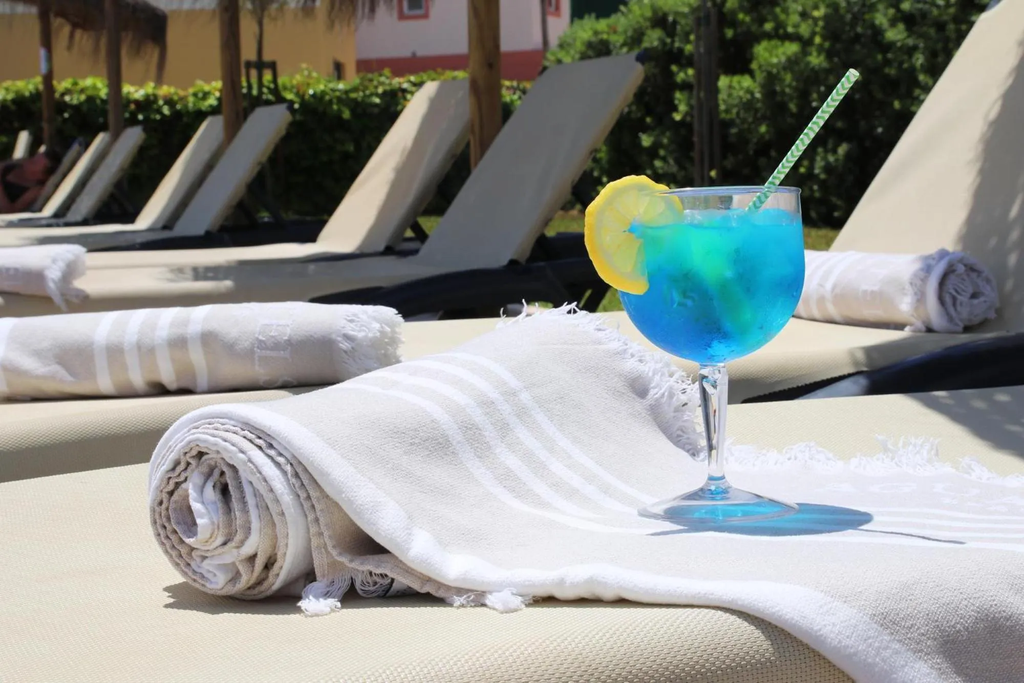 Lounge or bar in Agua Hotels Alvor Jardim