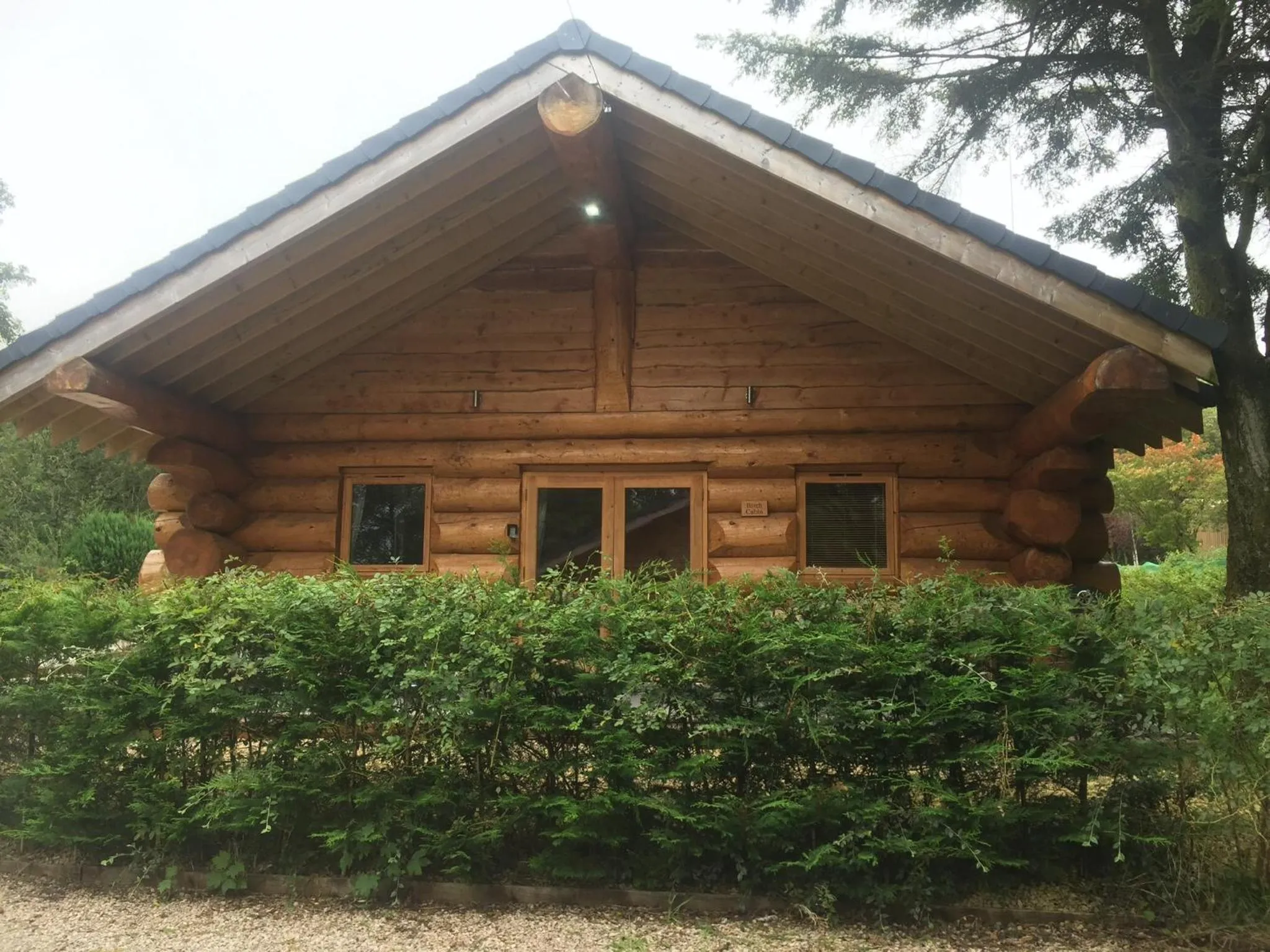 Property building in Ewes Water Log Cabins