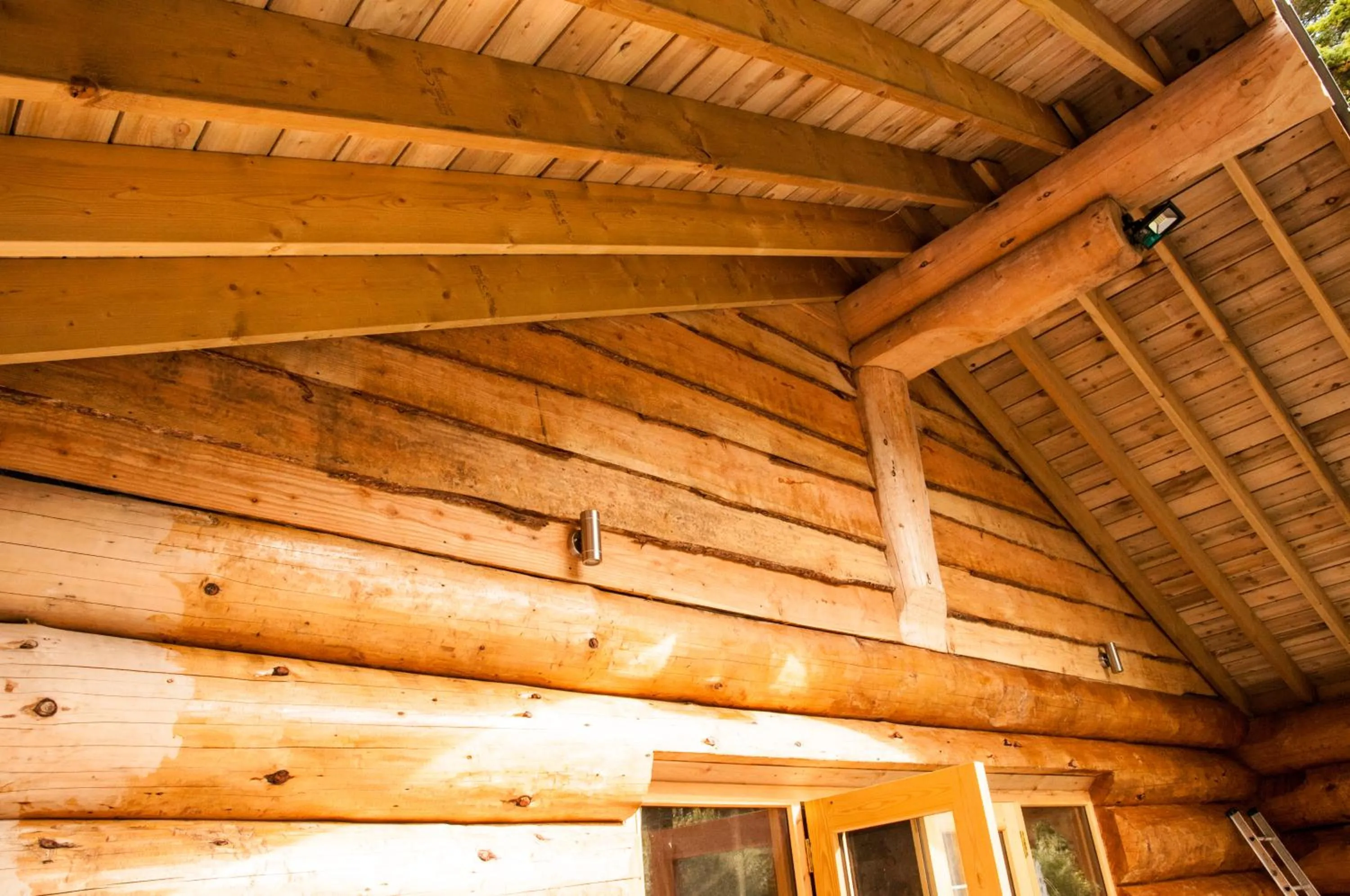Property building in Ewes Water Log Cabins