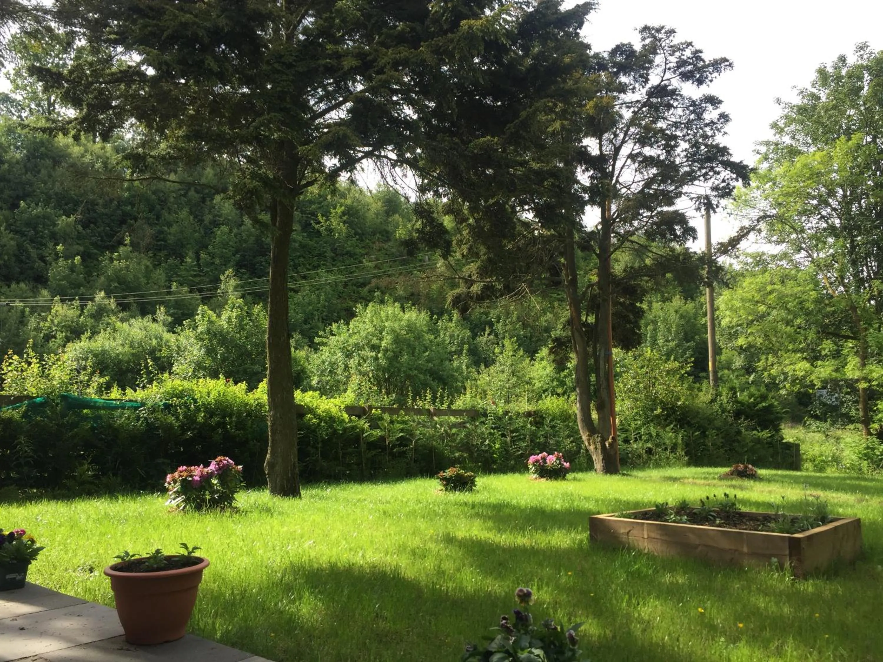 Garden in Ewes Water Log Cabins