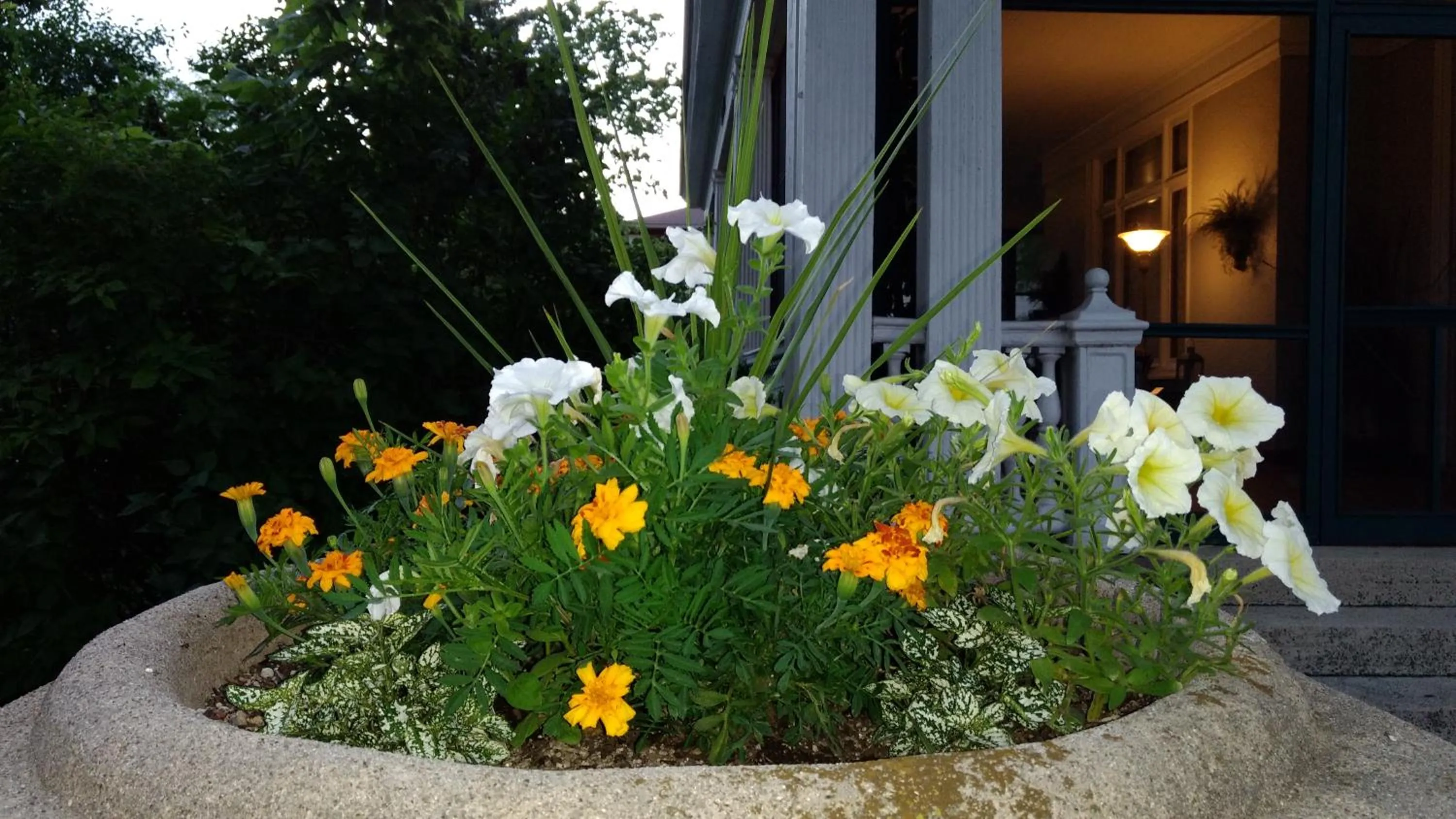 Alexander Mansion Bed & Breakfast