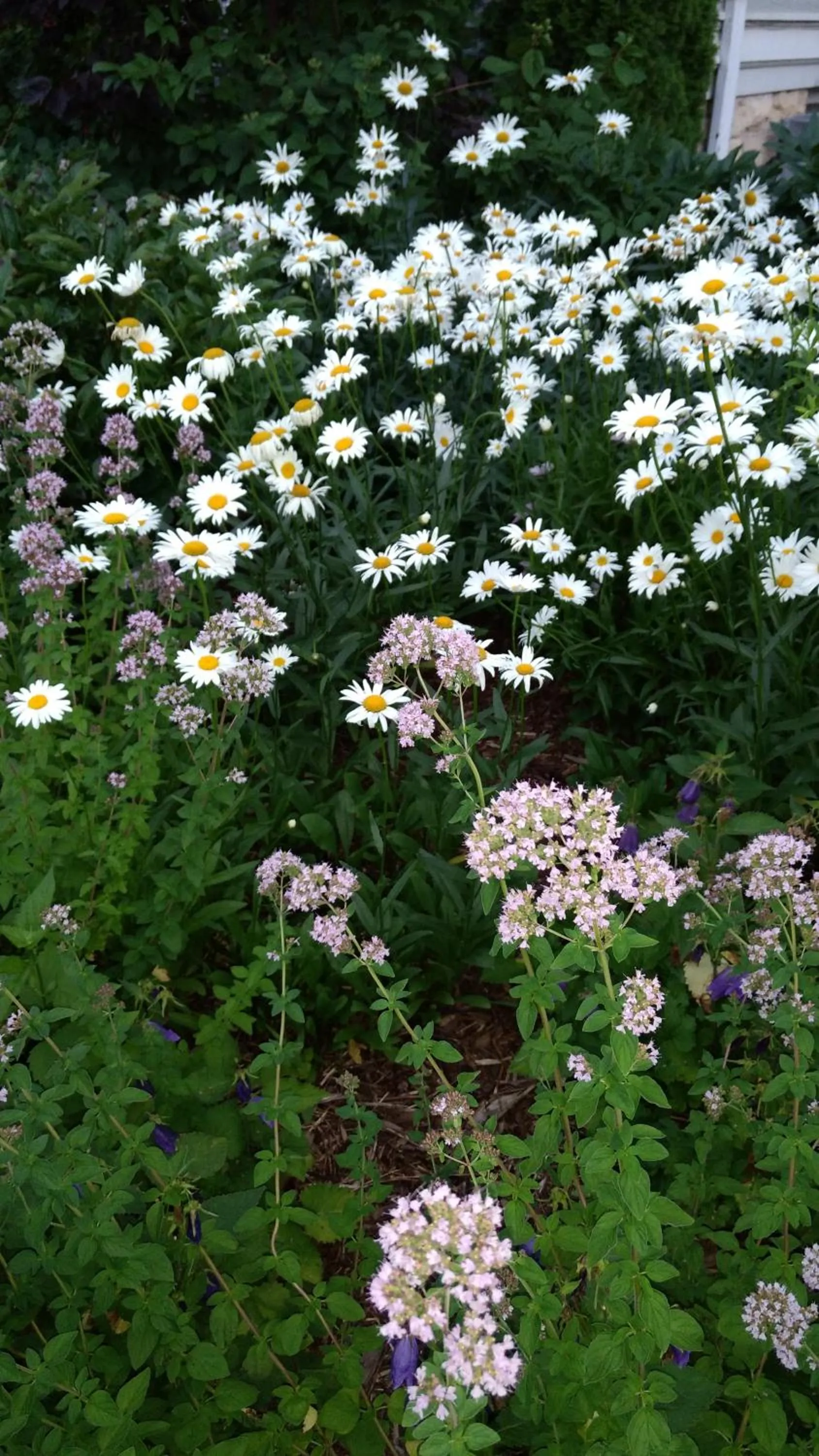 View (from property/room) in Alexander Mansion Bed & Breakfast