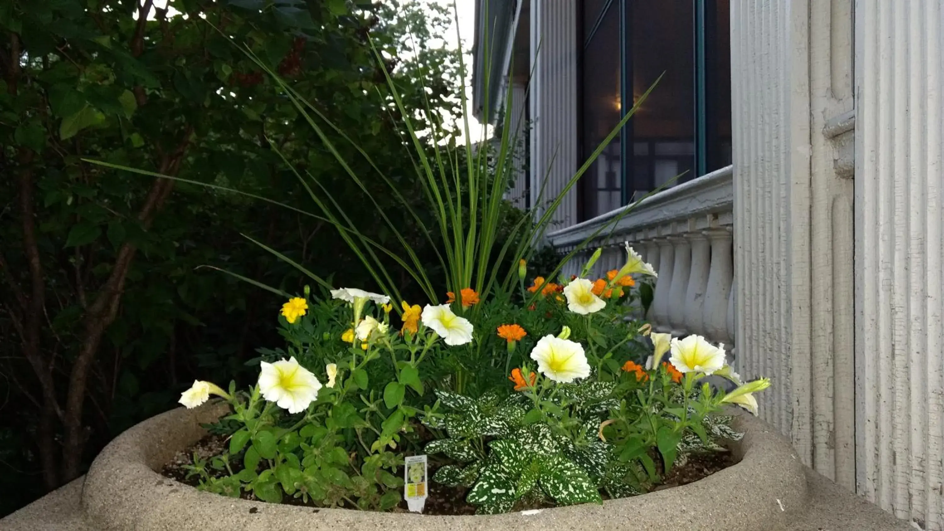 View (from property/room) in Alexander Mansion Bed & Breakfast View (from property/room) in Alexander Mansion Bed & Breakfast