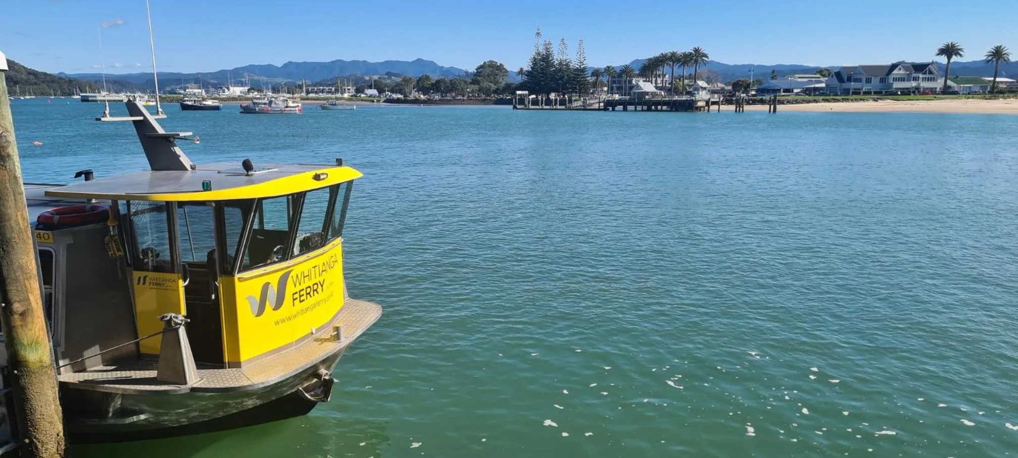 Natural landscape in Blue Marlin Apartments