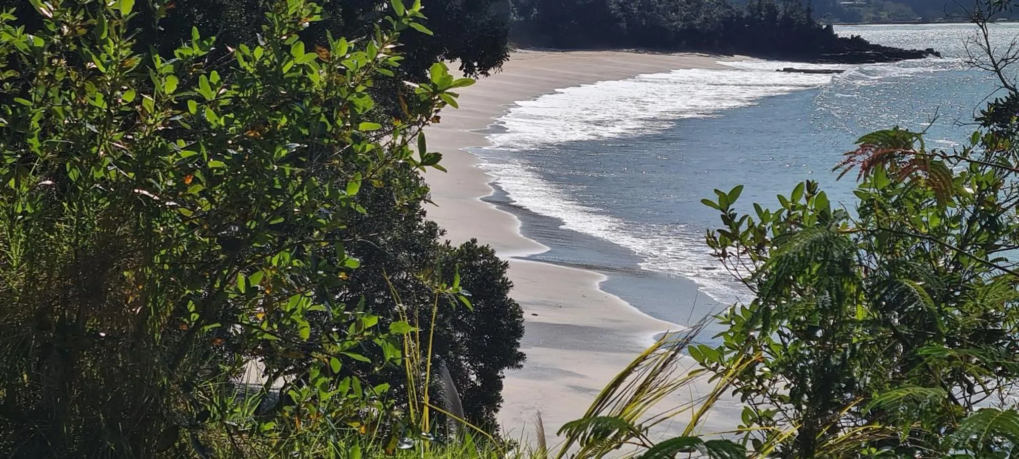 Natural landscape in Blue Marlin Apartments