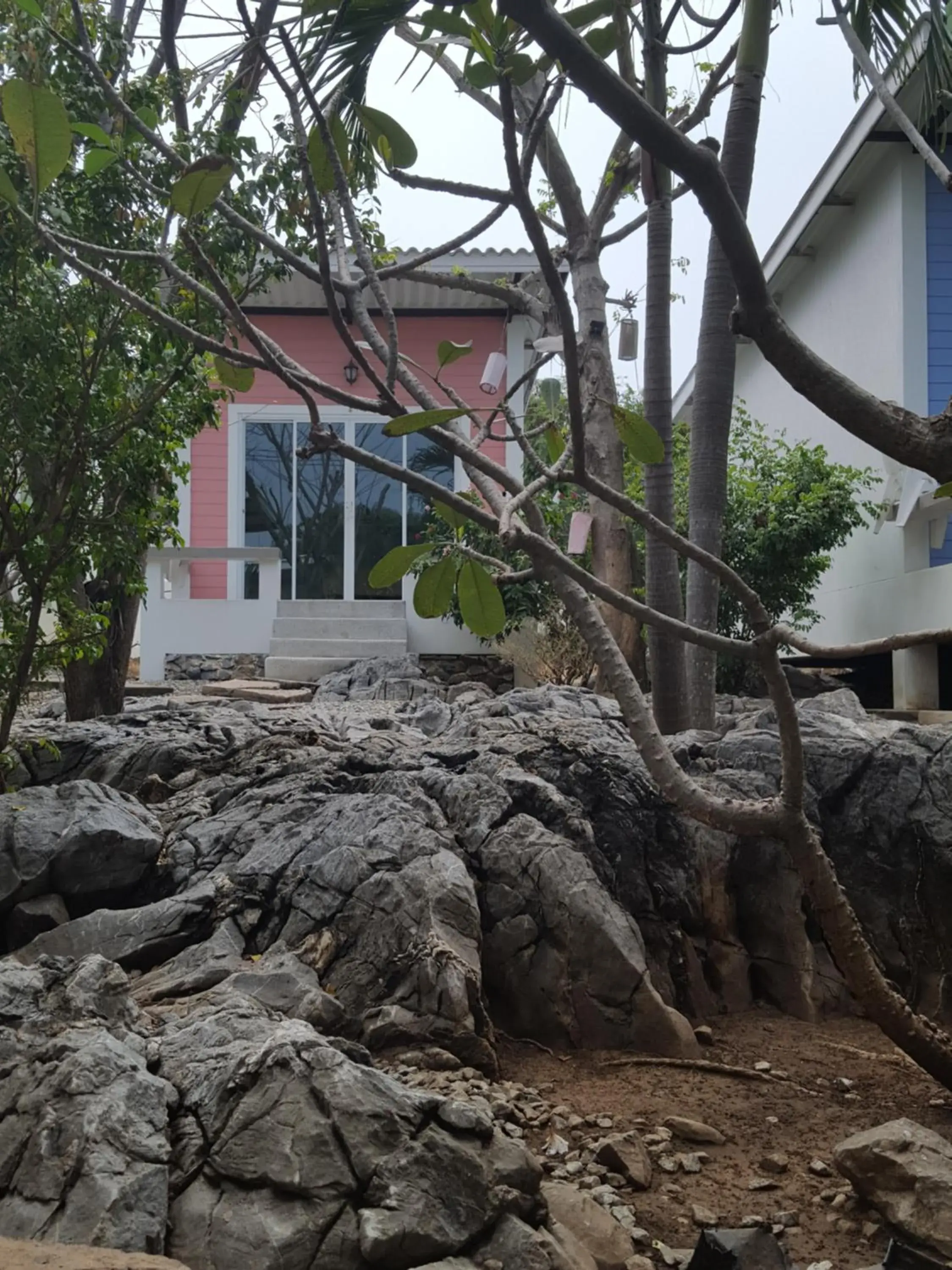 Charlie's Bungalows Charlie's Bungalows