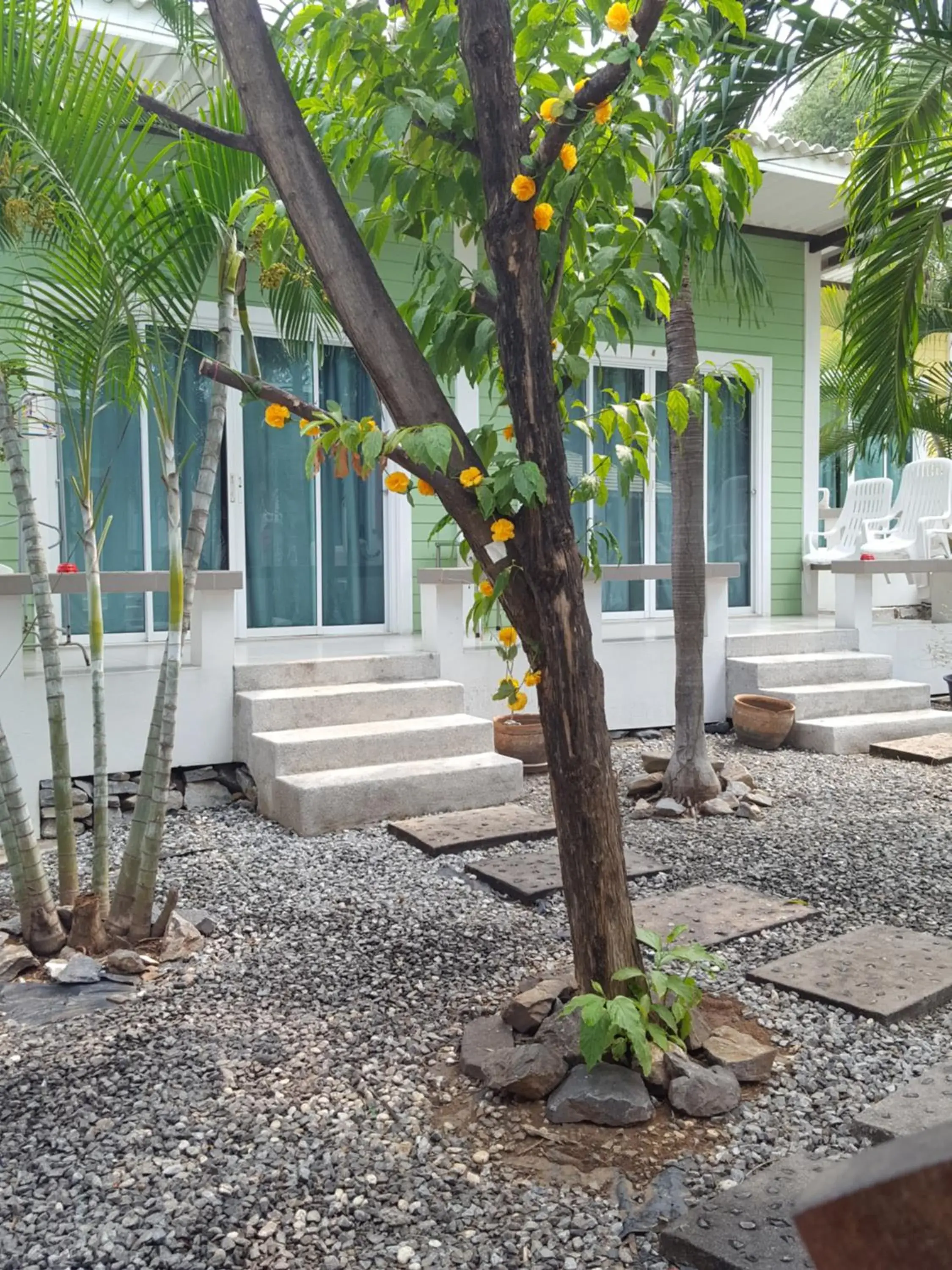 Charlie's Bungalows Charlie's Bungalows