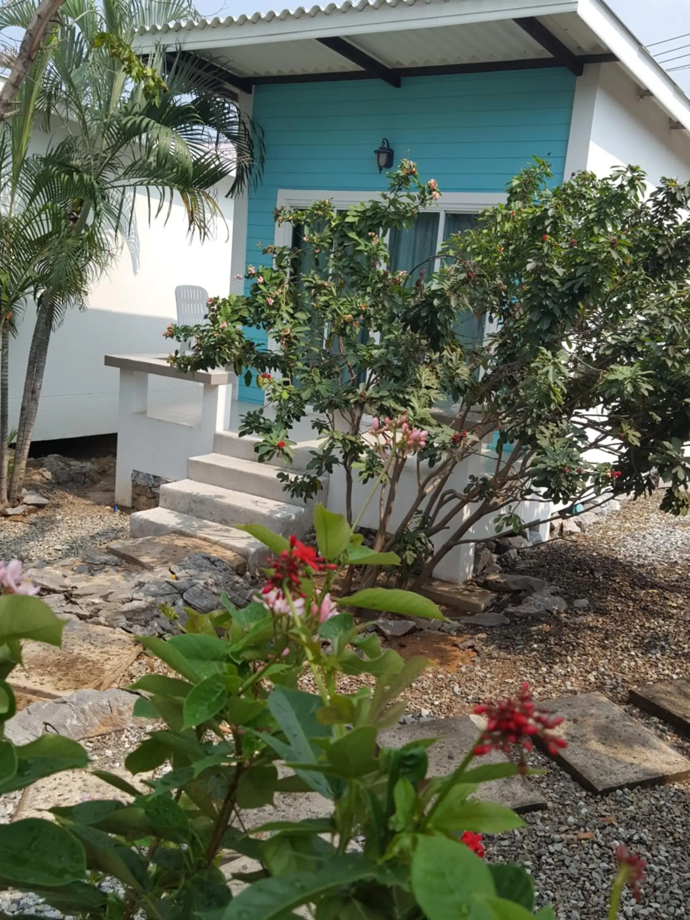 Charlie's Bungalows Charlie's Bungalows