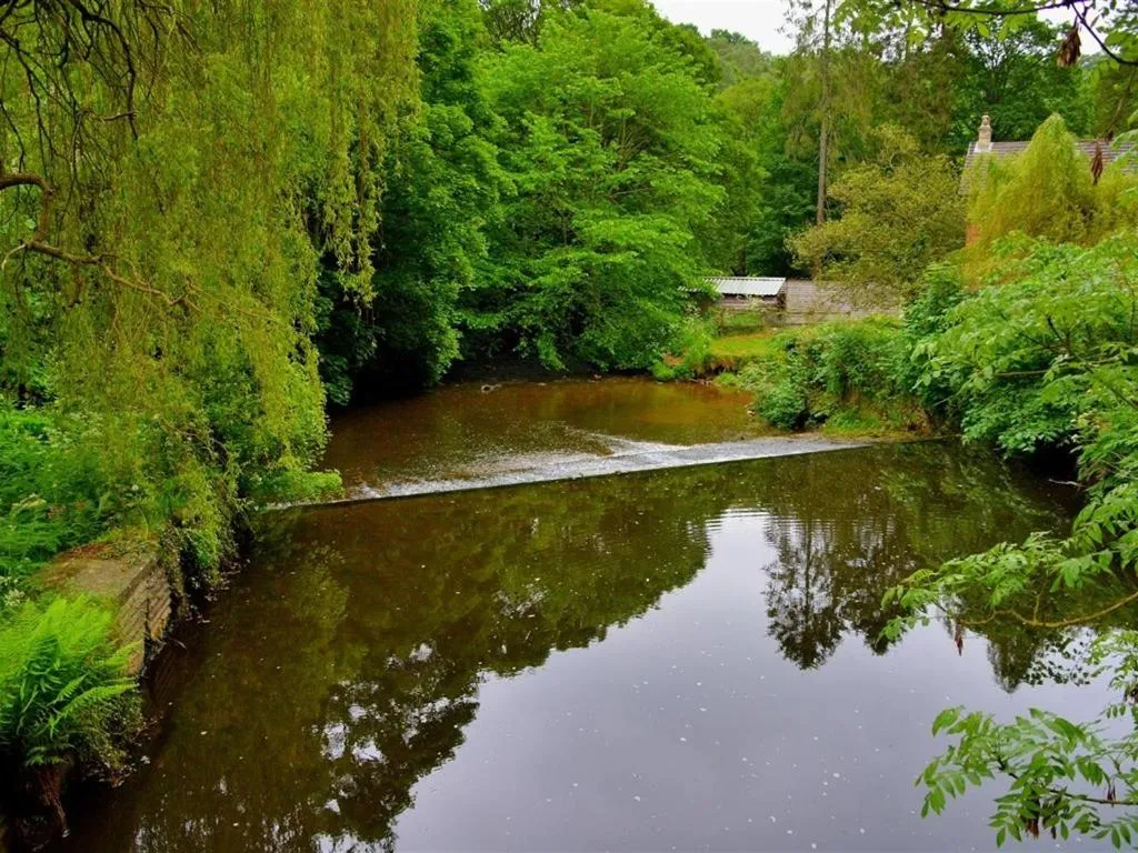 Other in The Barn Guest House and Tearoom