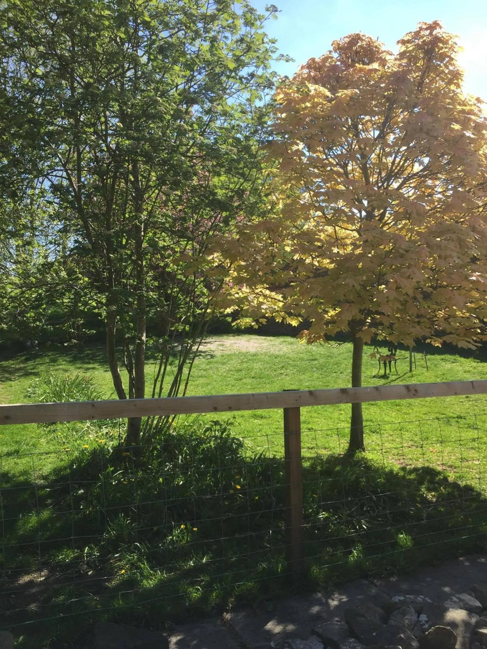Garden in The Barn Guest House and Tearoom
