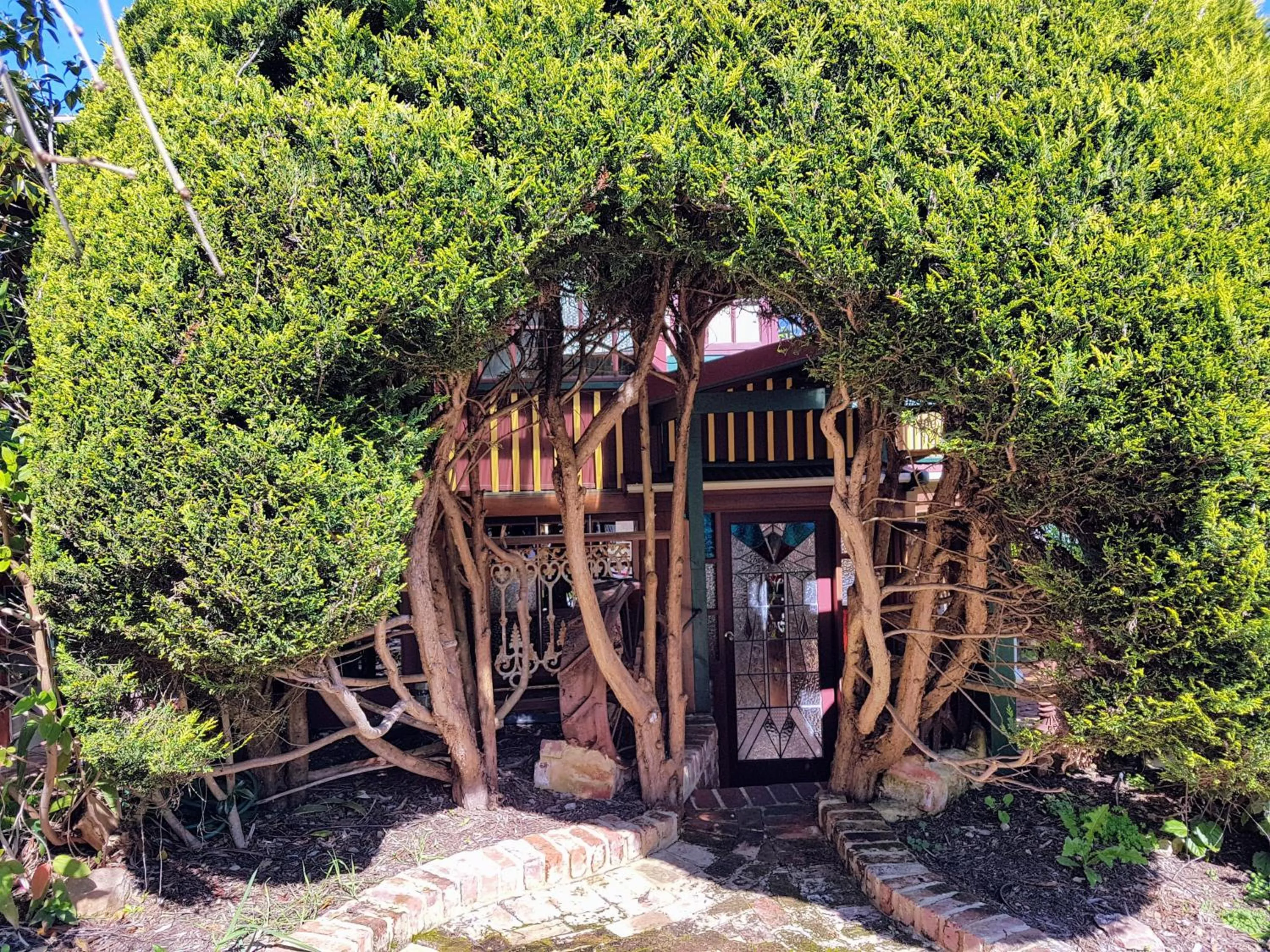 Garden in Bridgefield Guest House