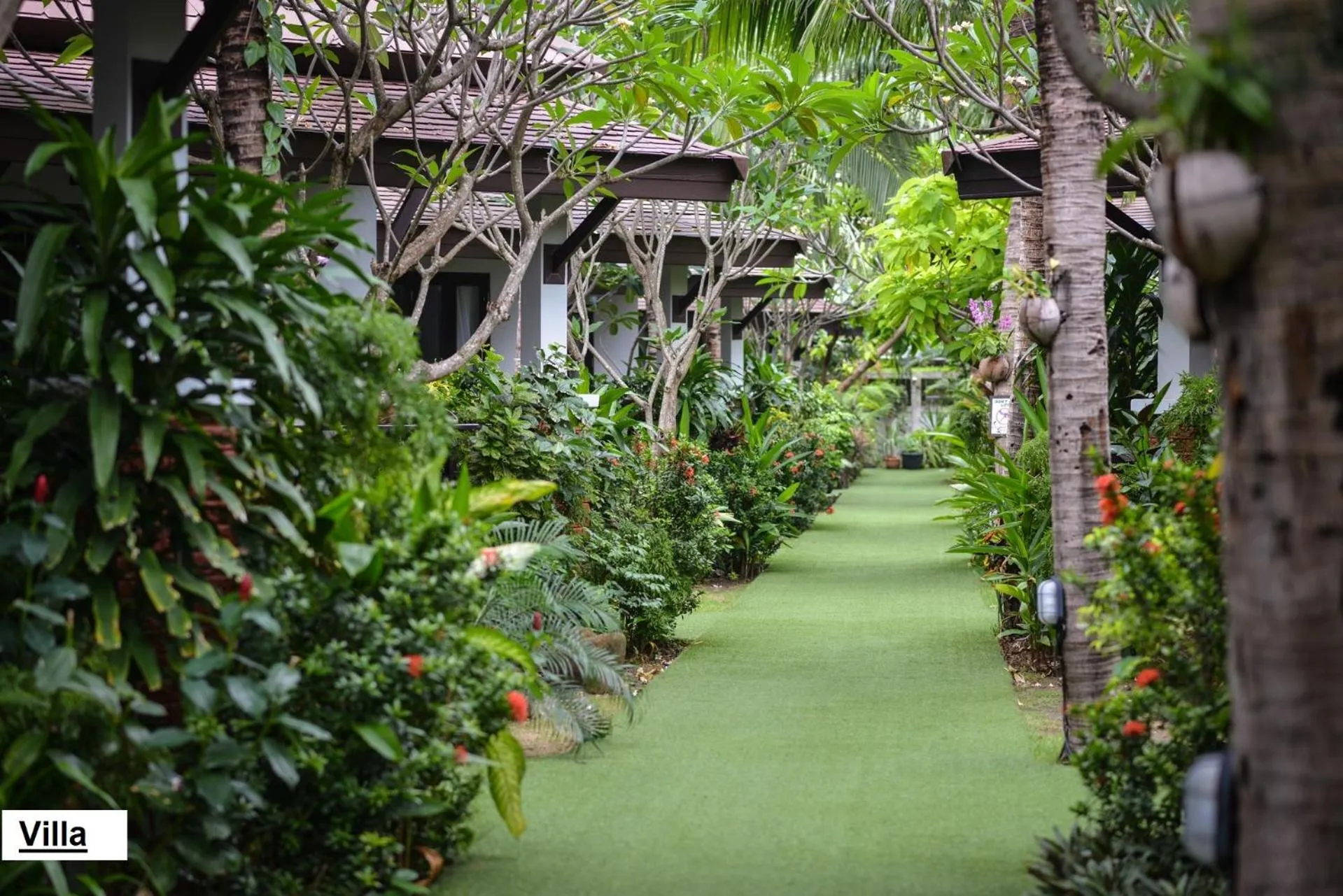 Day in Phangan Bayshore Resort Koh Phangan