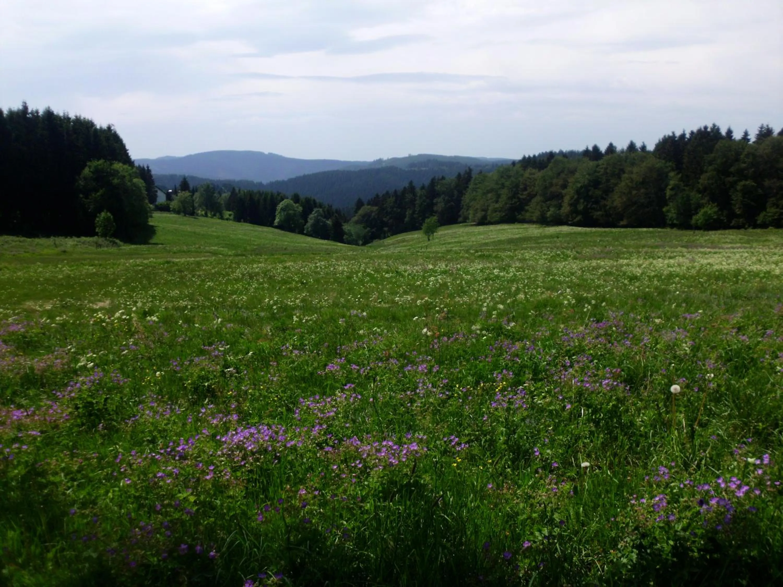 Double Room in Hotel Pension Fernblick