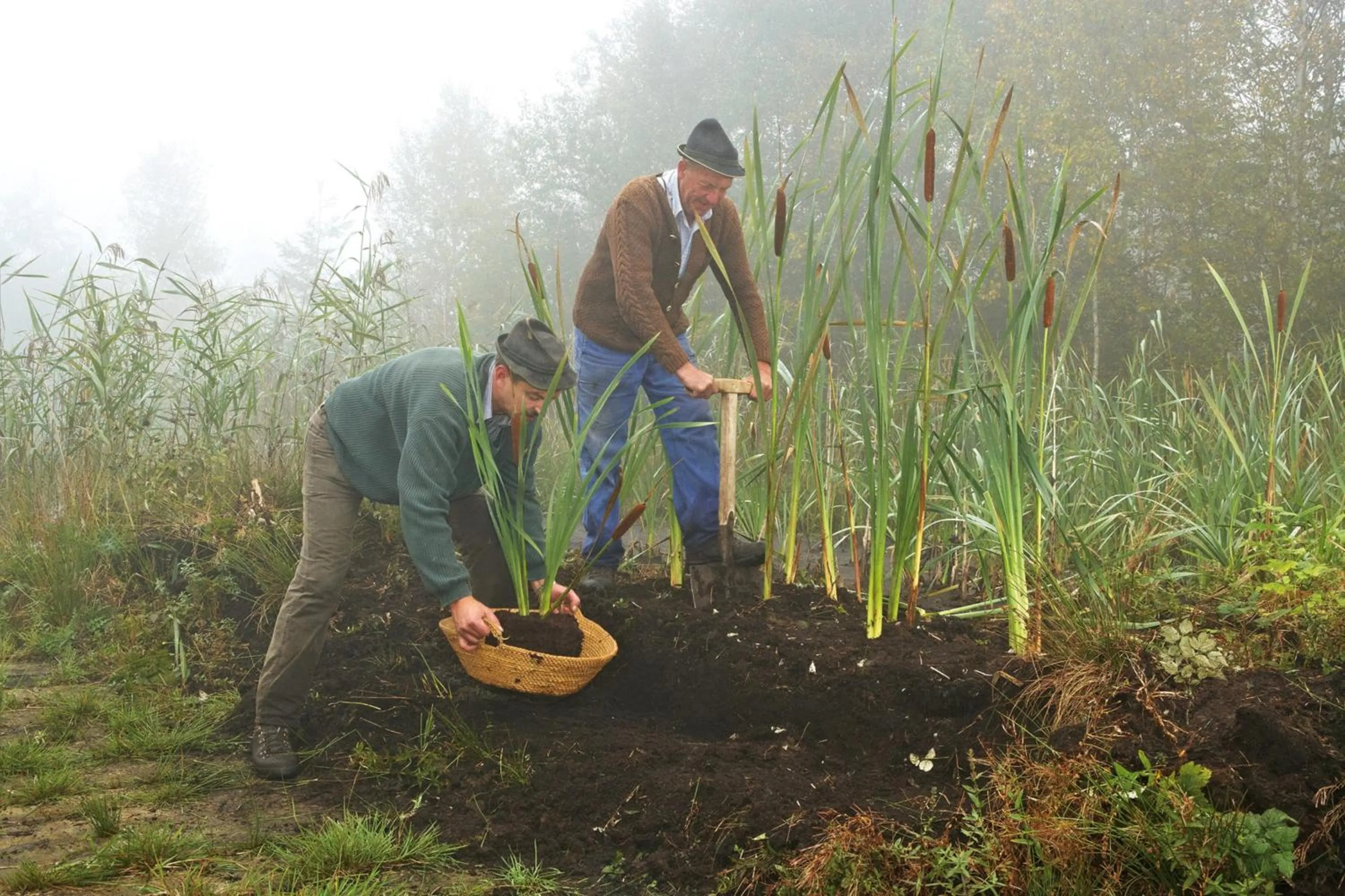 Other in Hotel am Wiesenhang - Garni