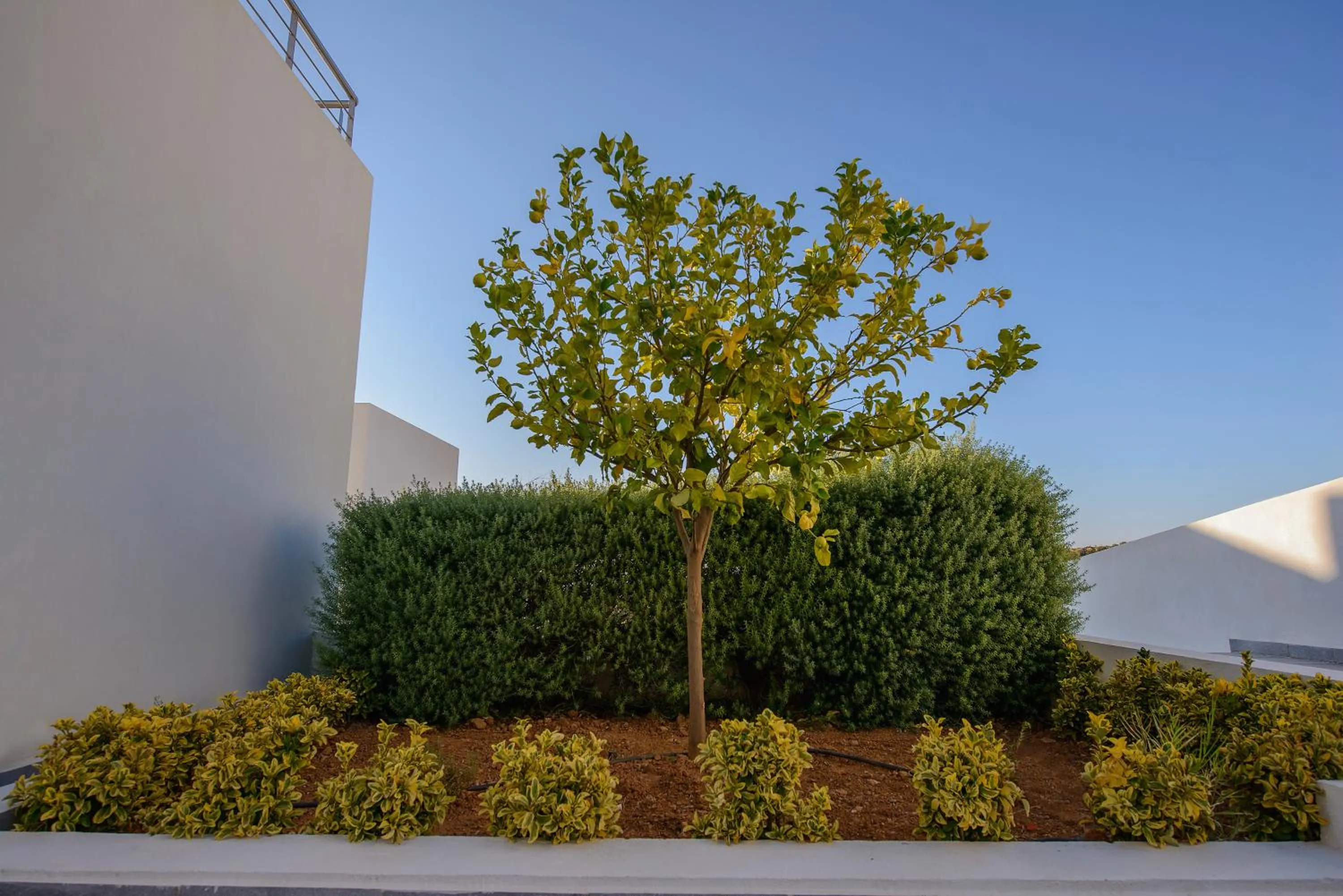 Garden in Lenikos Resort