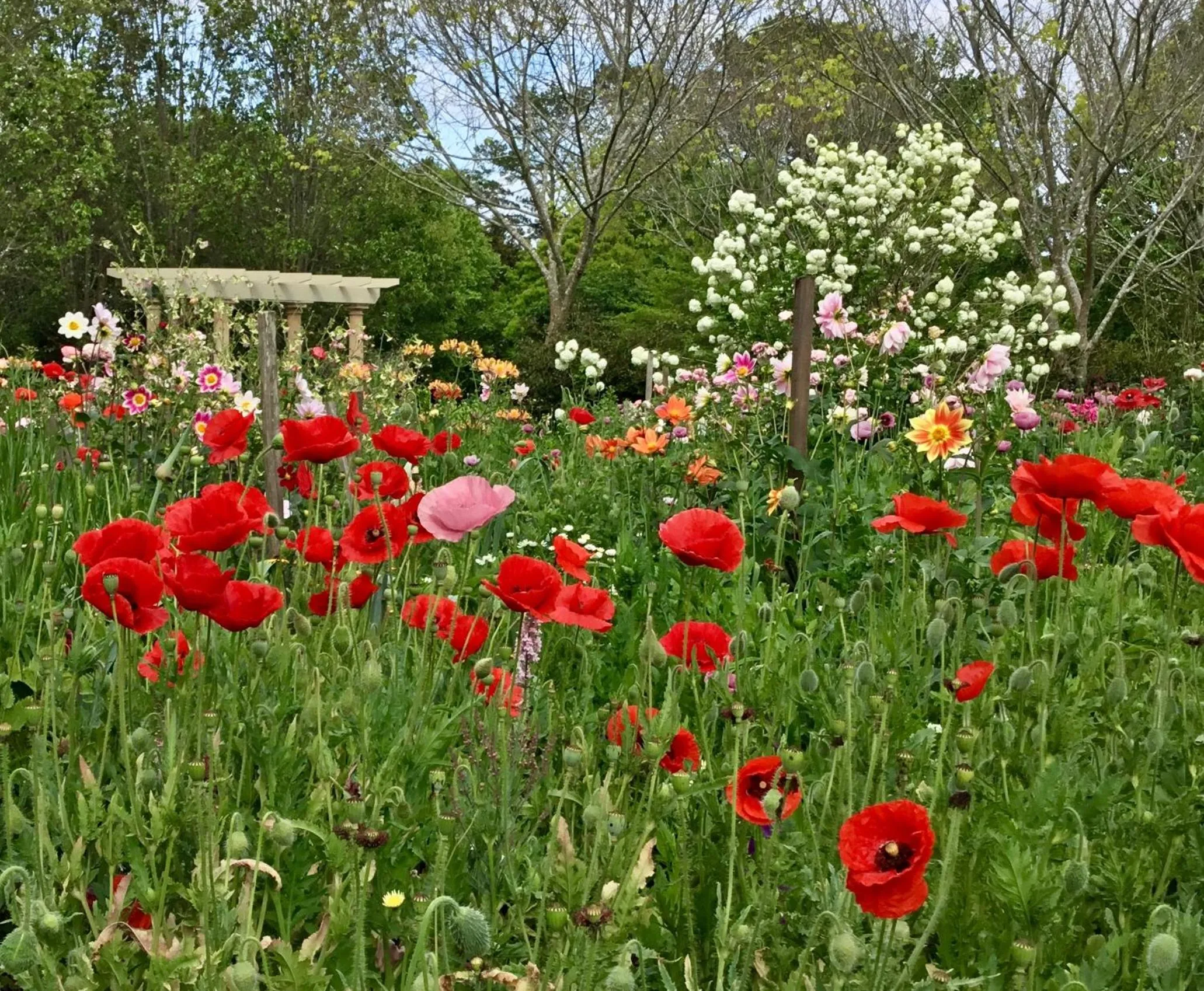 Spring in Chanticleer Gardens Barn cottage with a Pool