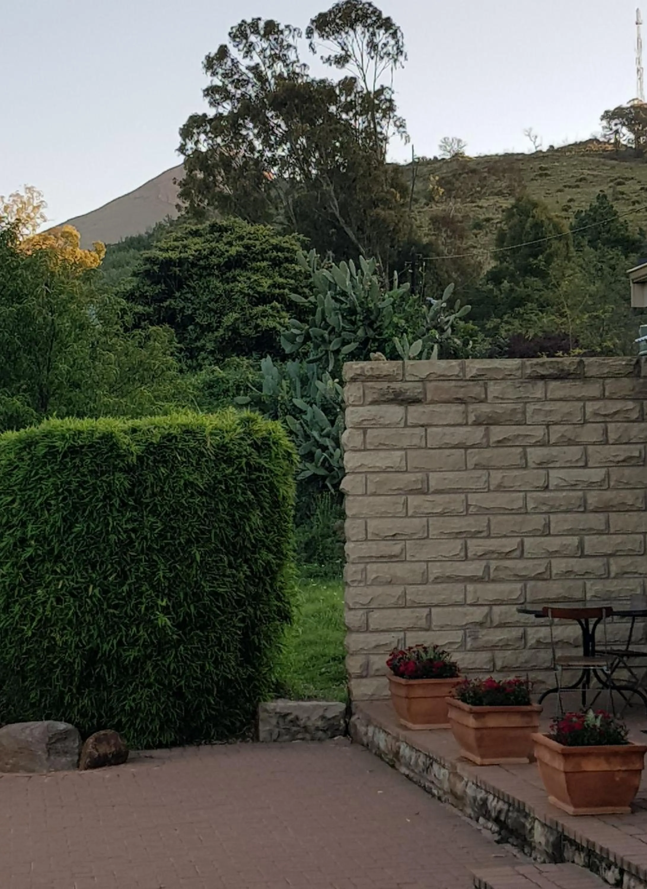 Mountain view in 36 On Boom B&B