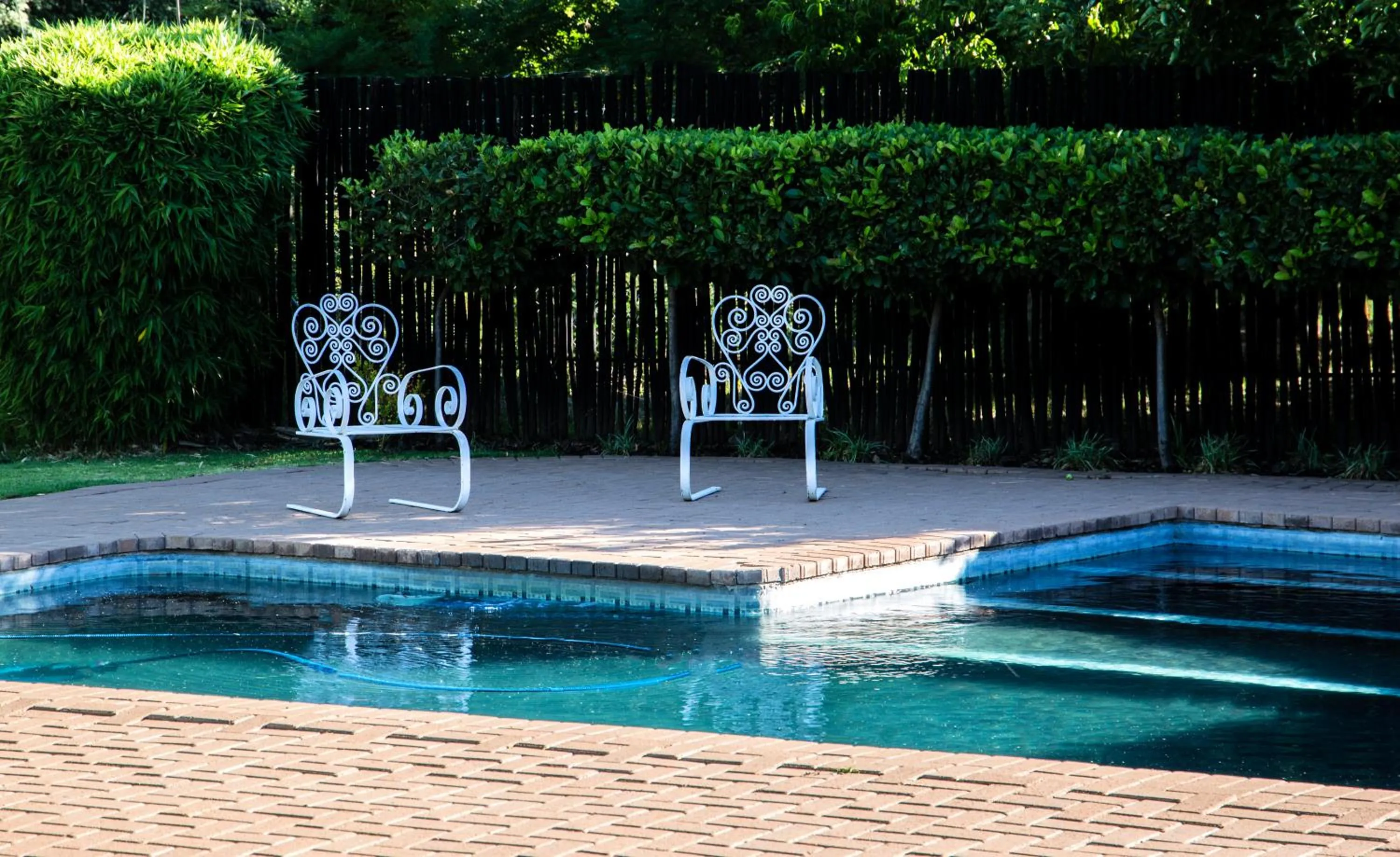 Swimming pool in 36 On Boom B&B