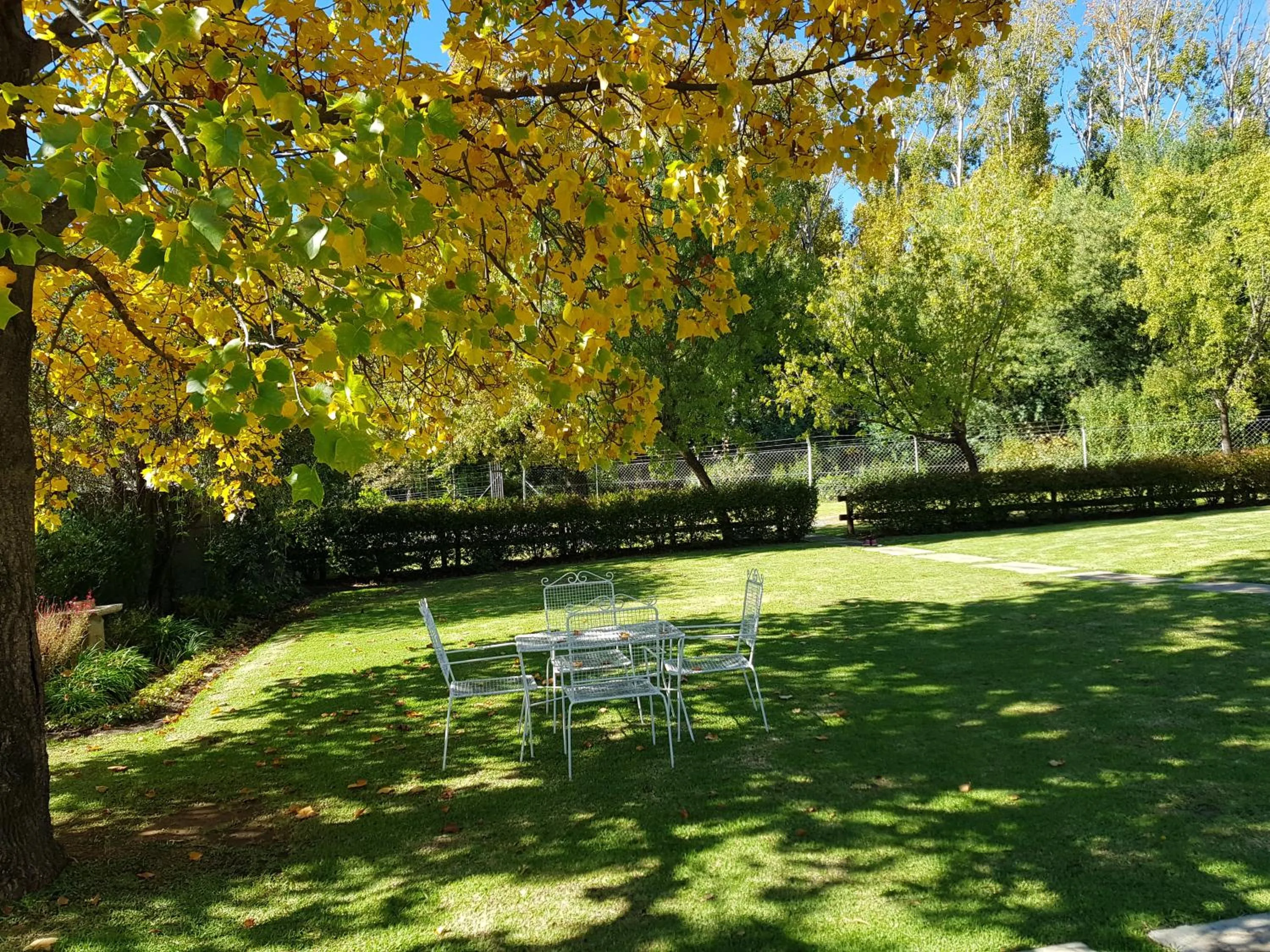 Garden in 36 On Boom B&B