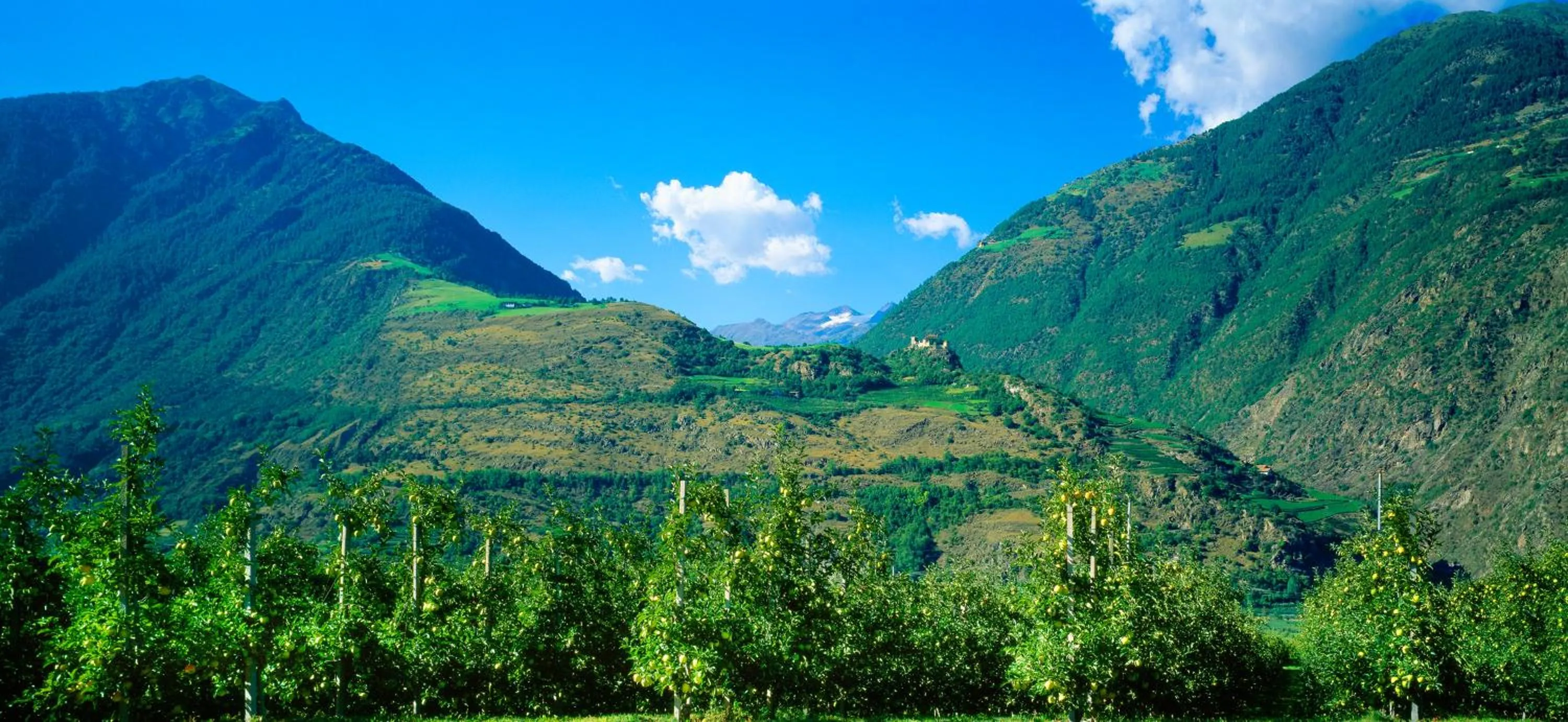 Landmark view in Gasthof Weisses Kreuz