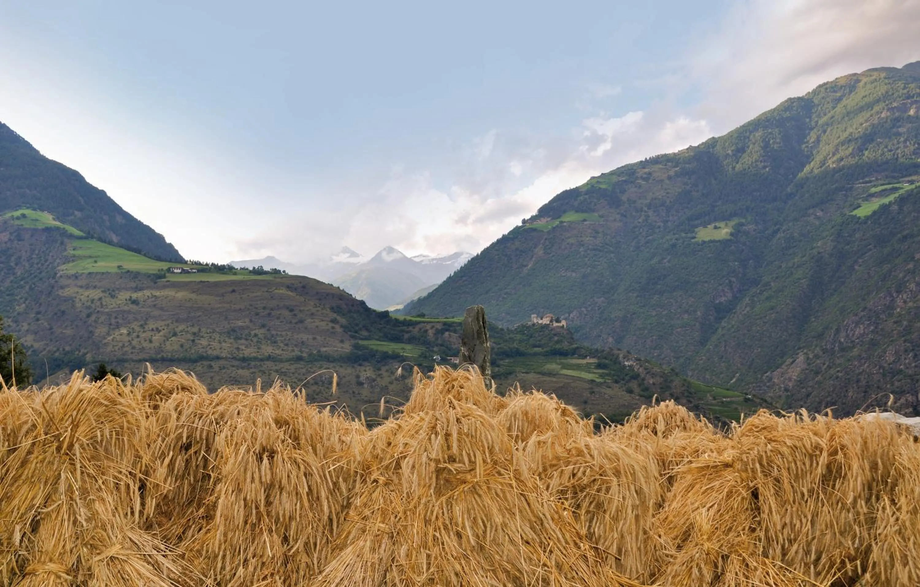 Garden in Gasthof Weisses Kreuz