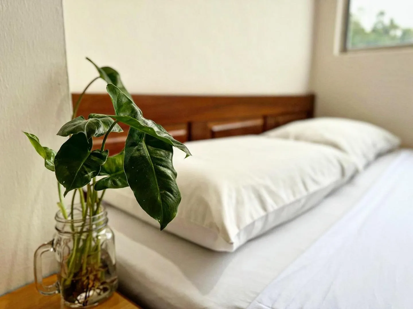 Bed in Town Inn Hotel - Rainforest